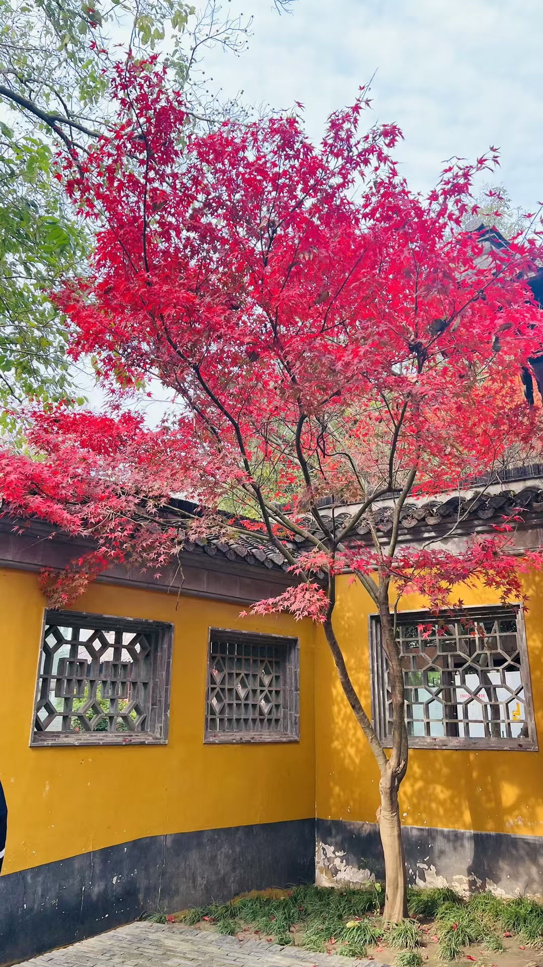 深秋的寺庙