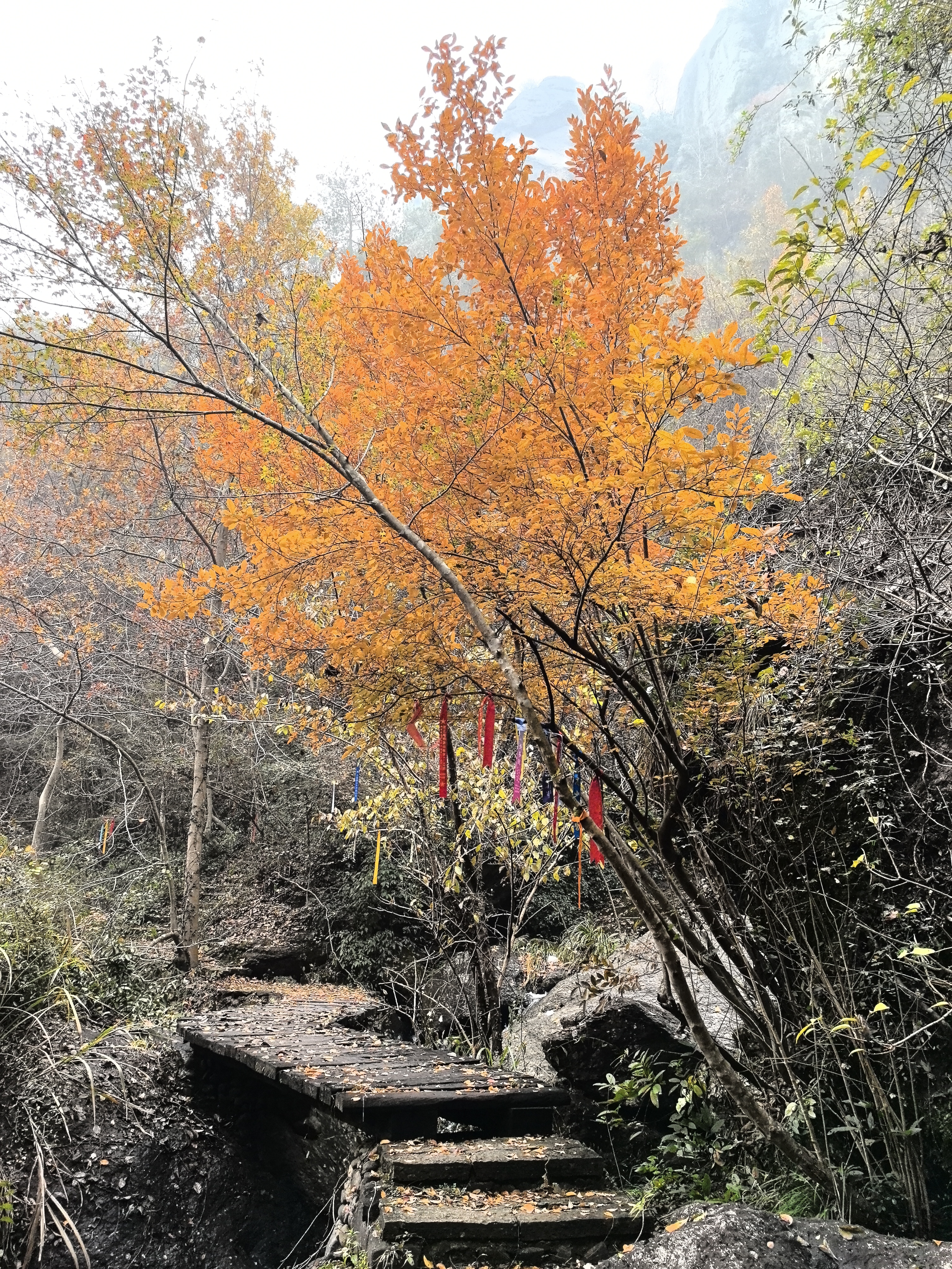 新昌徒步