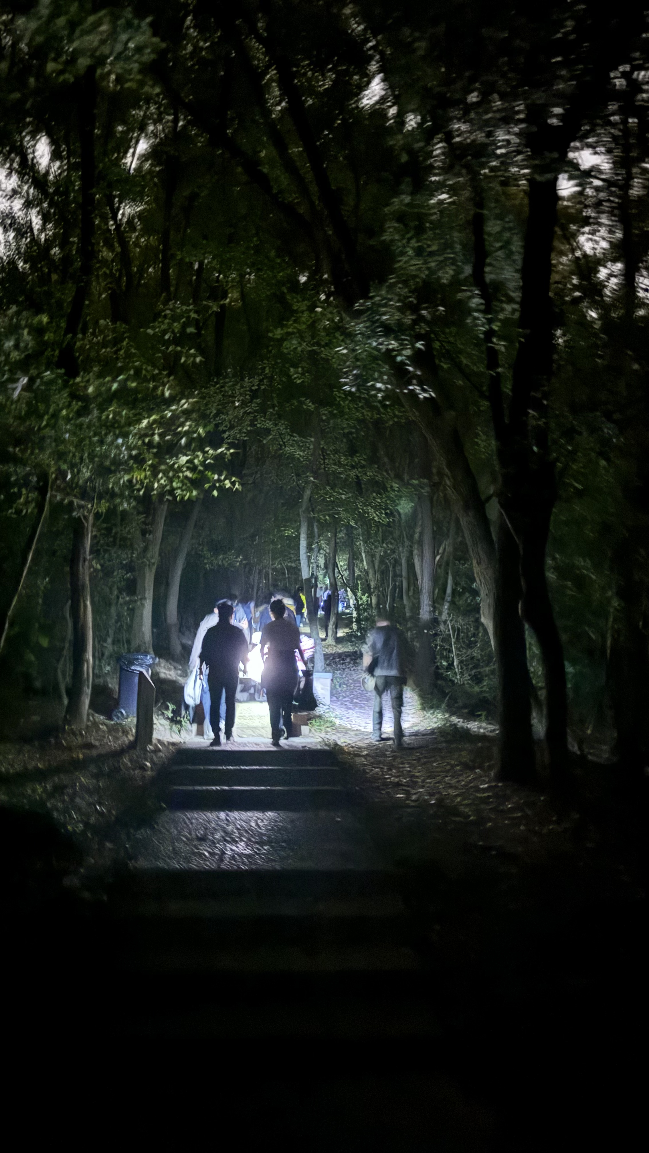 萧山西山夜爬