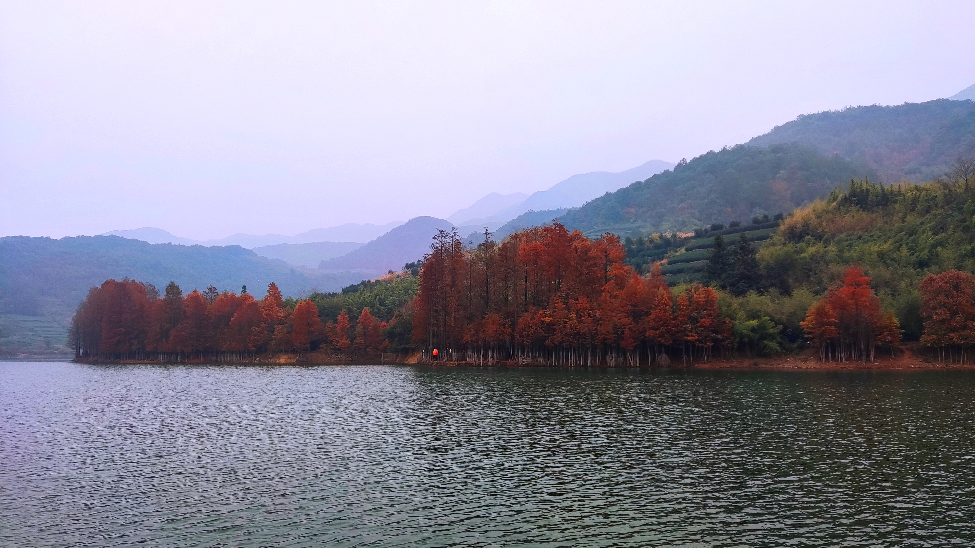 红秋燃冬-20241207嵊州秋境·更楼古道