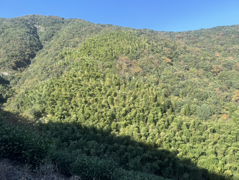 风景特点：风景绝佳，竹林萦绕山路有趣。有瀑布、石洞，可玩水、走野路、进洞“探险”，拍照非常出片 。