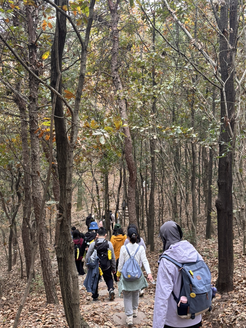 下午轻徒南北湖·晚上逛西塘古镇