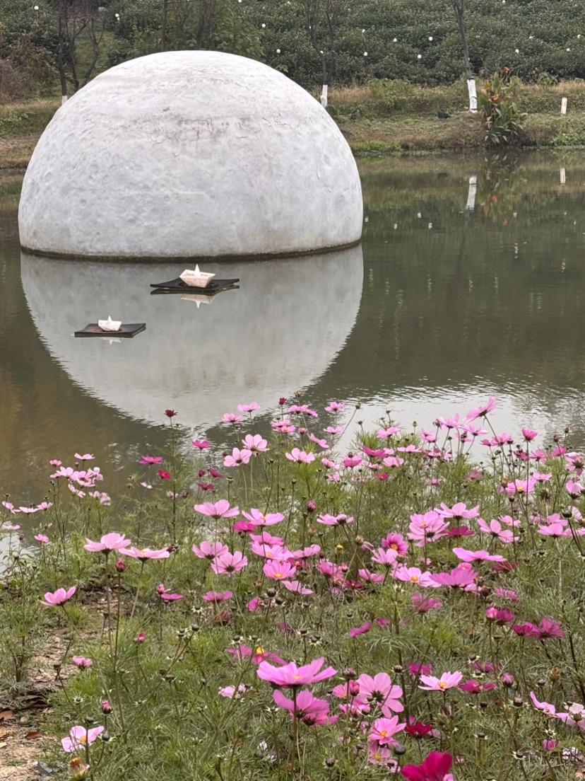 下午轻徒南北湖·晚上逛西塘古镇