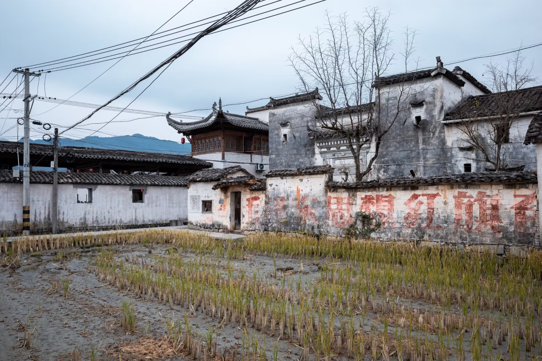 方塘—青龙湾红杉林—朱旺村—宏村—塔川