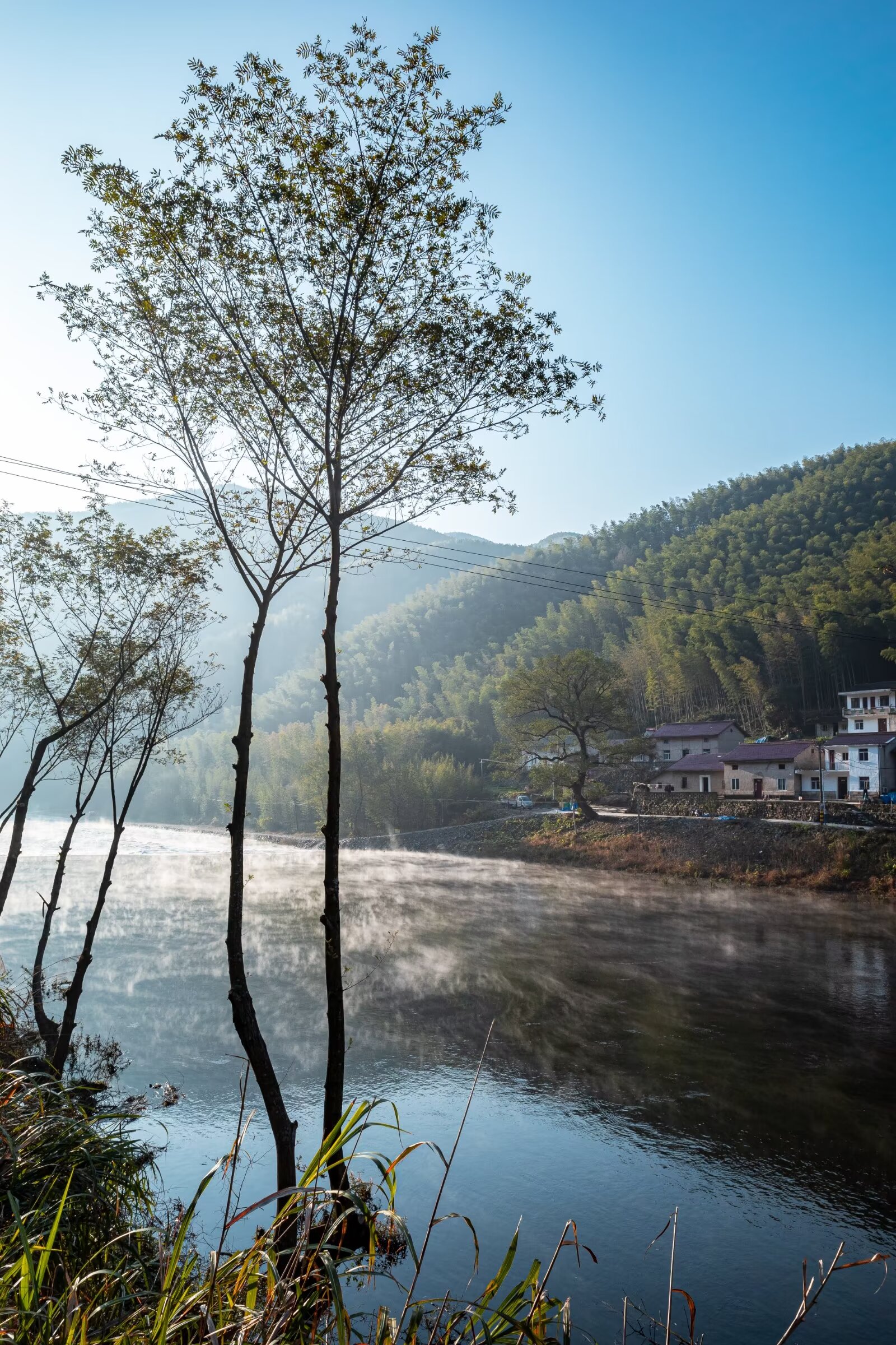 方塘—青龙湾红杉林—朱旺村—宏村—塔川