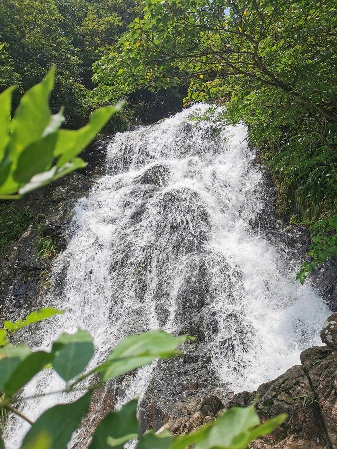 风和日丽