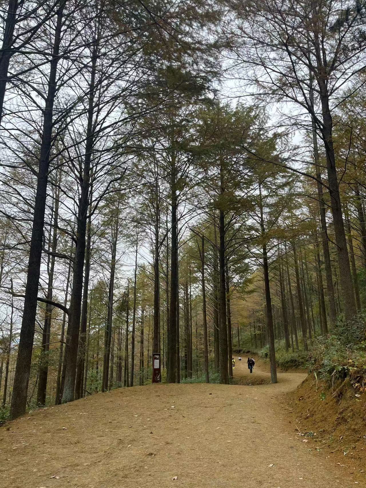 风和日丽