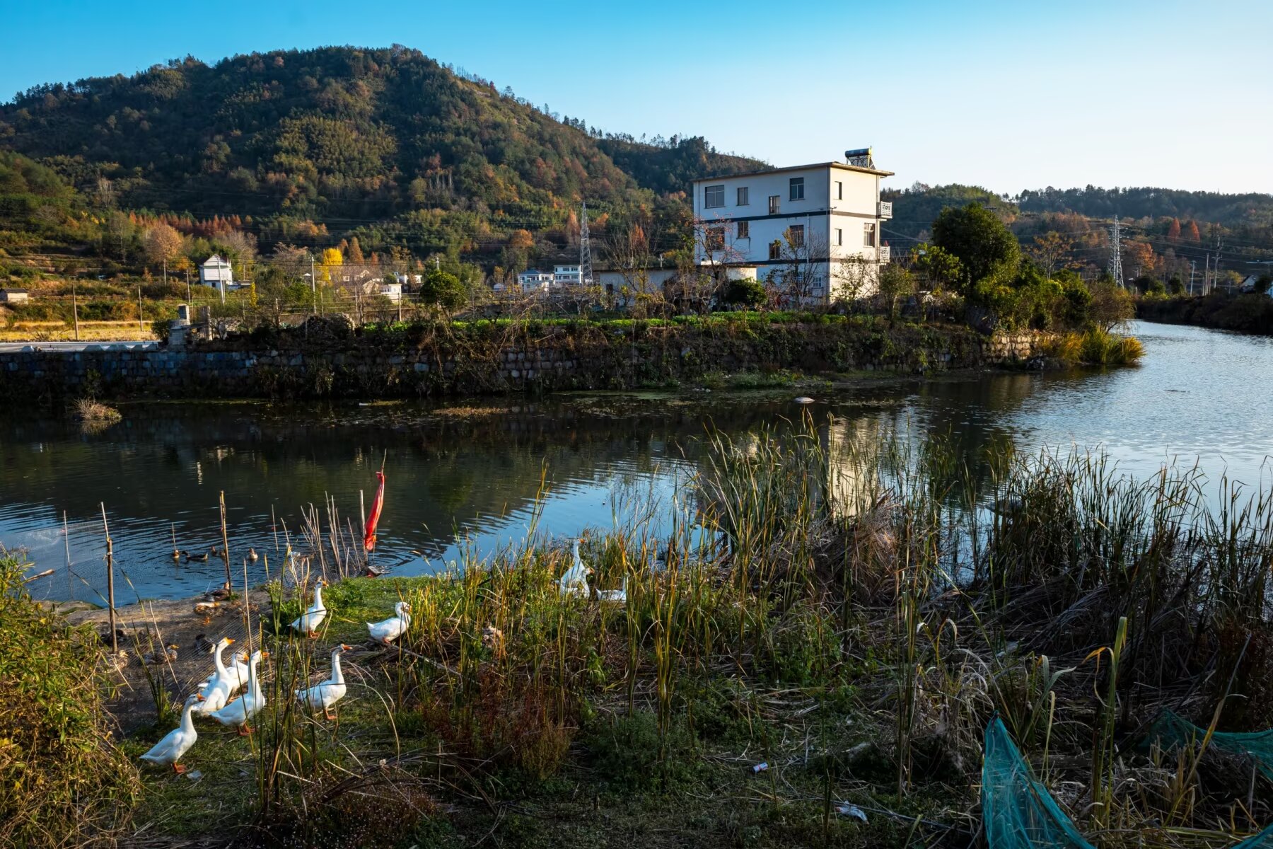 方塘—青龙湾红杉林—朱旺村—宏村—塔川