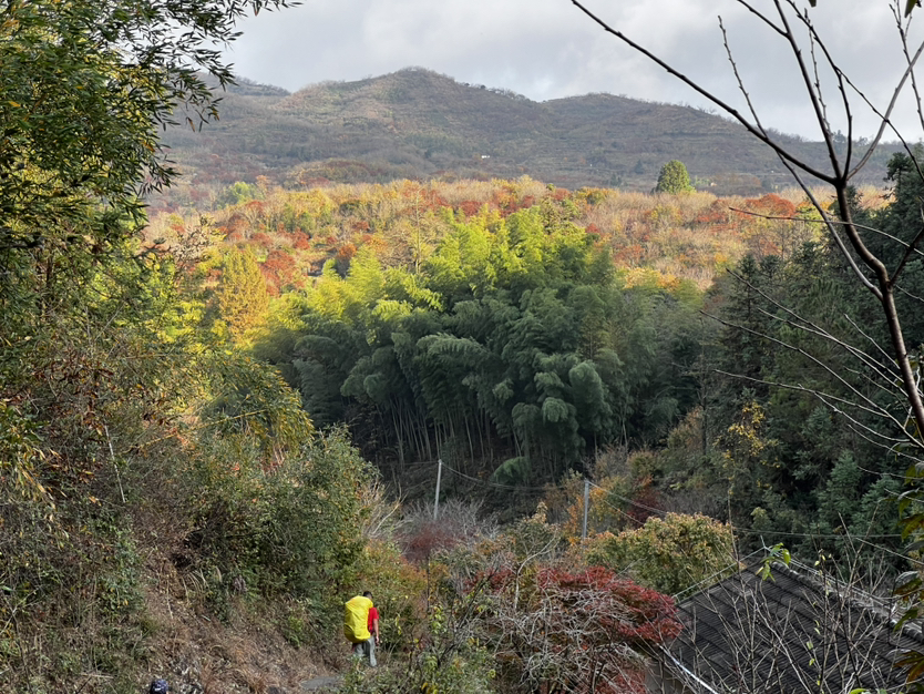 四明山
