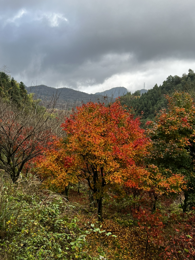 四明山