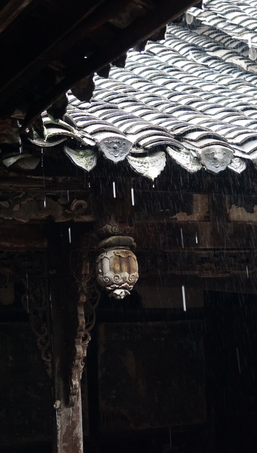 雨