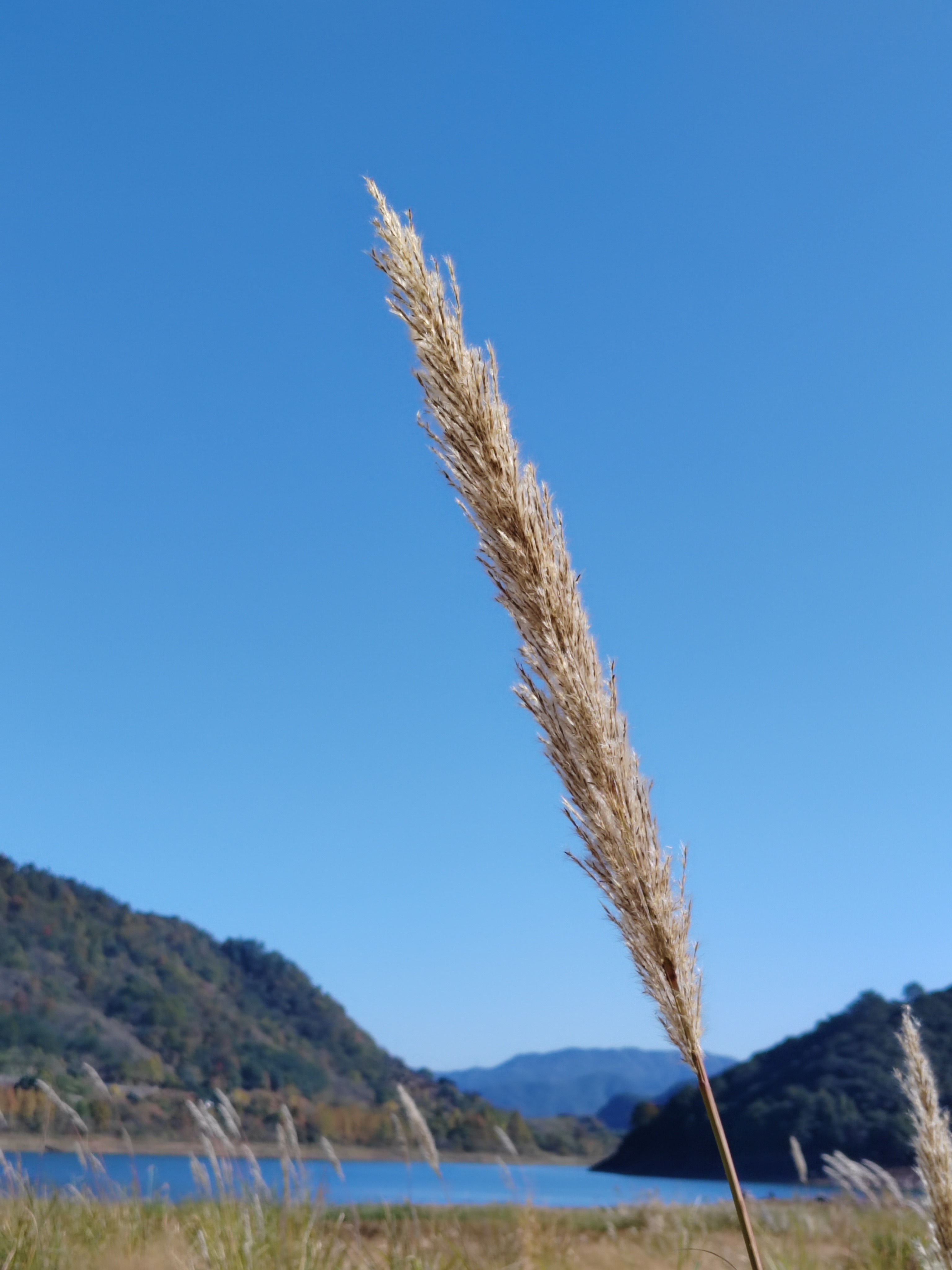 岙底村-摄影天堂