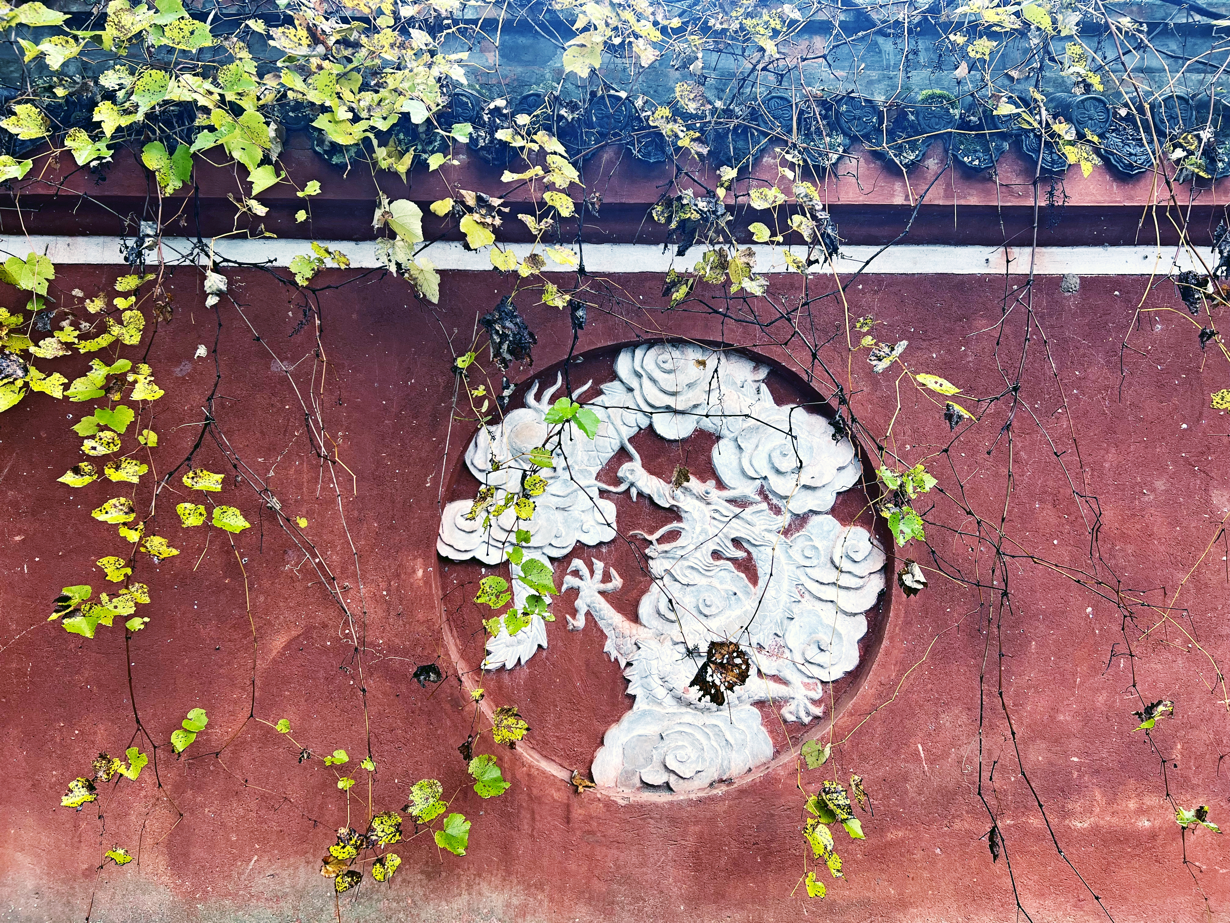 三台县宝藏之地