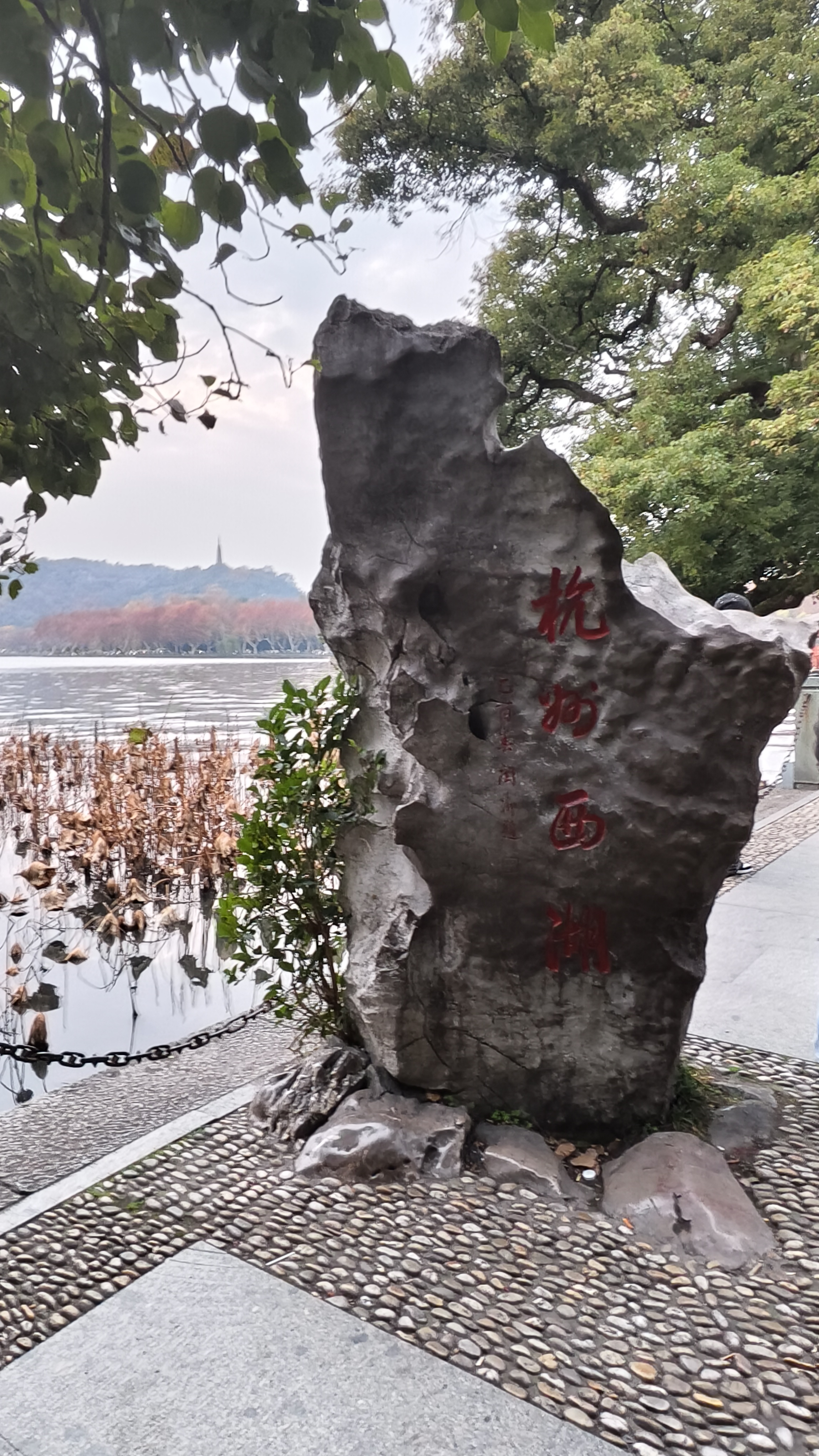 西湖-湖畔居