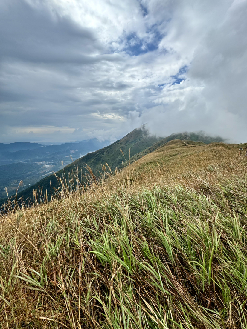 #下雨的大南山是那样美#
