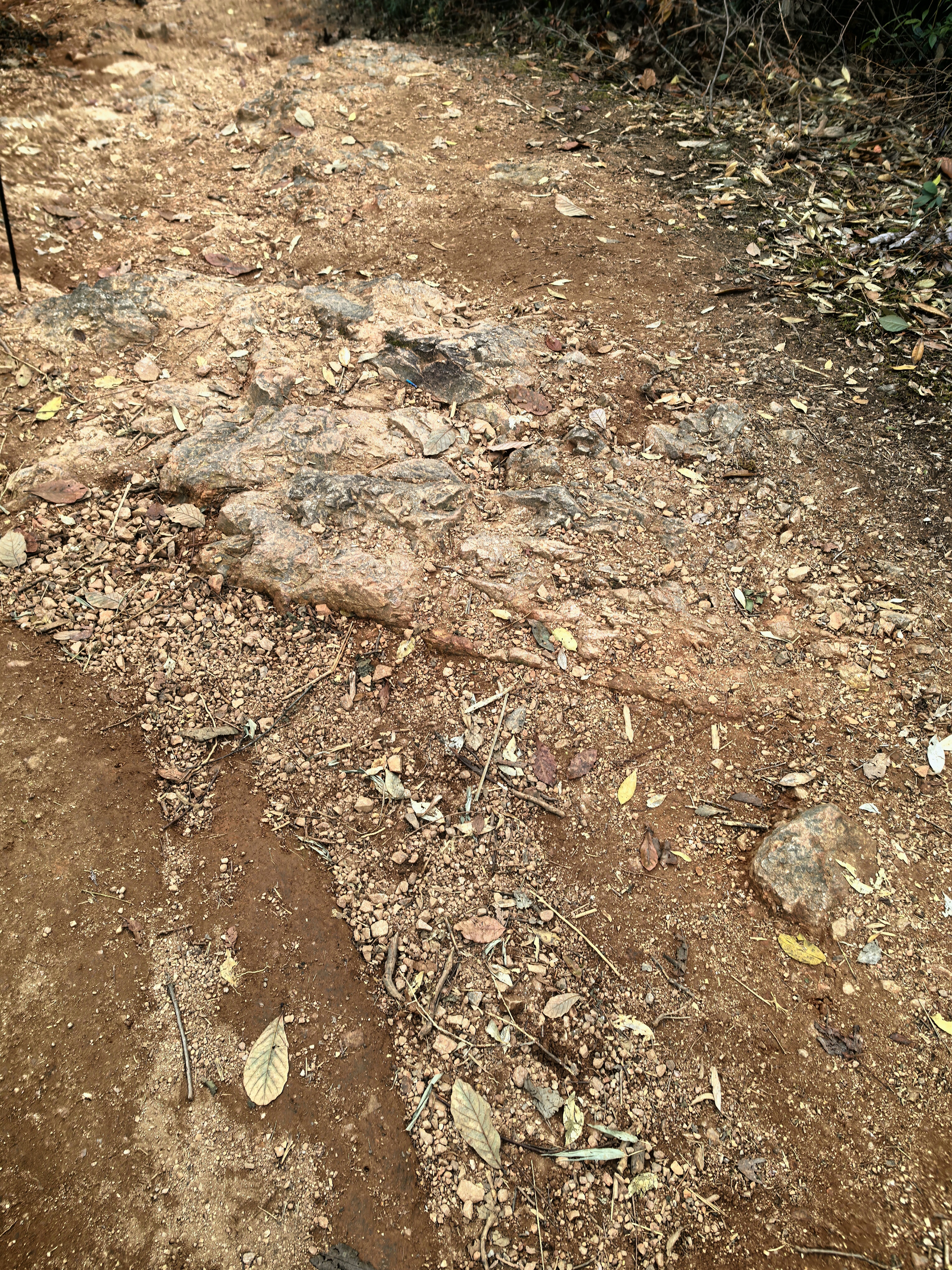 湘湖徒步各种路