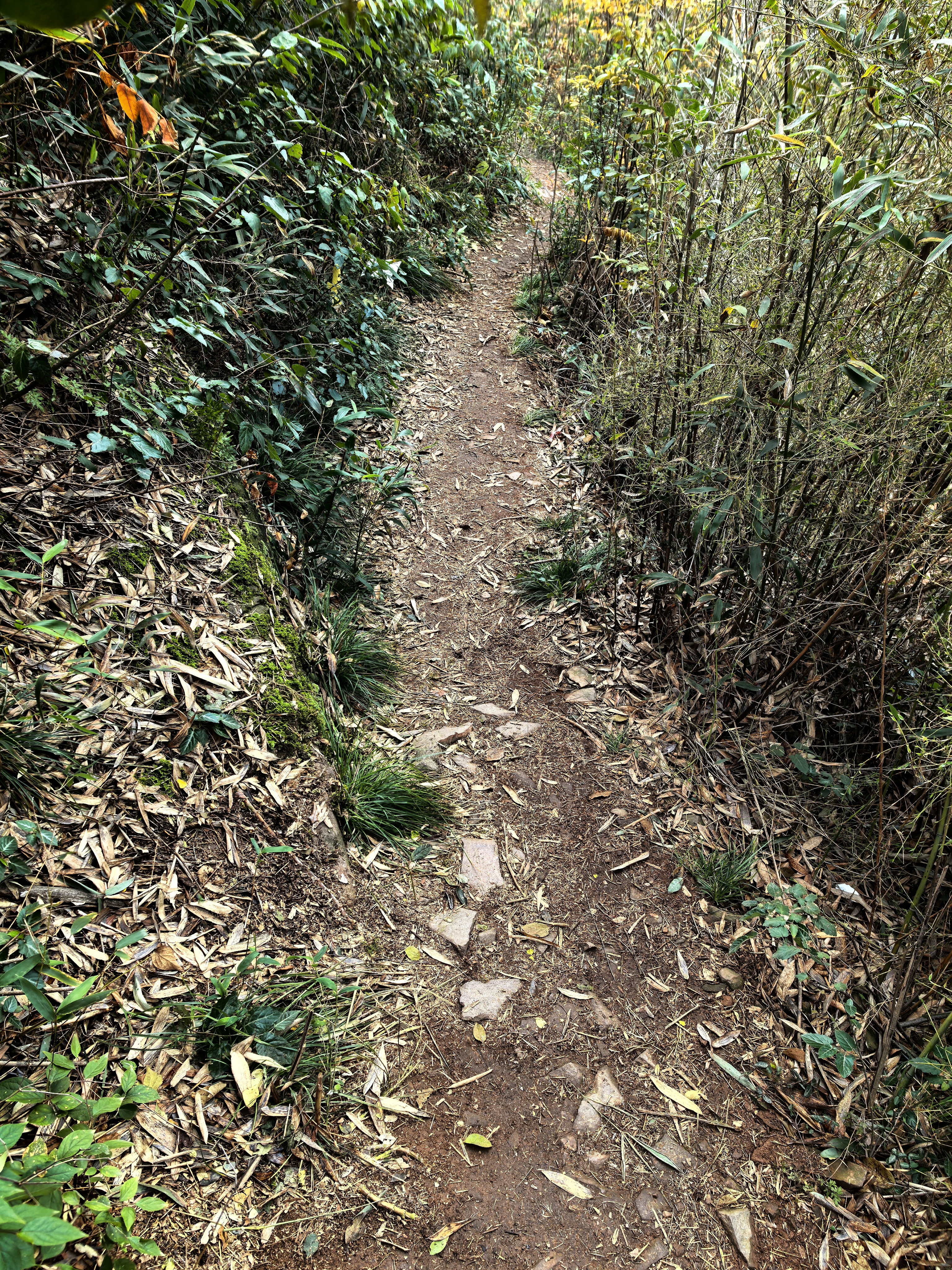 湘湖徒步各种路