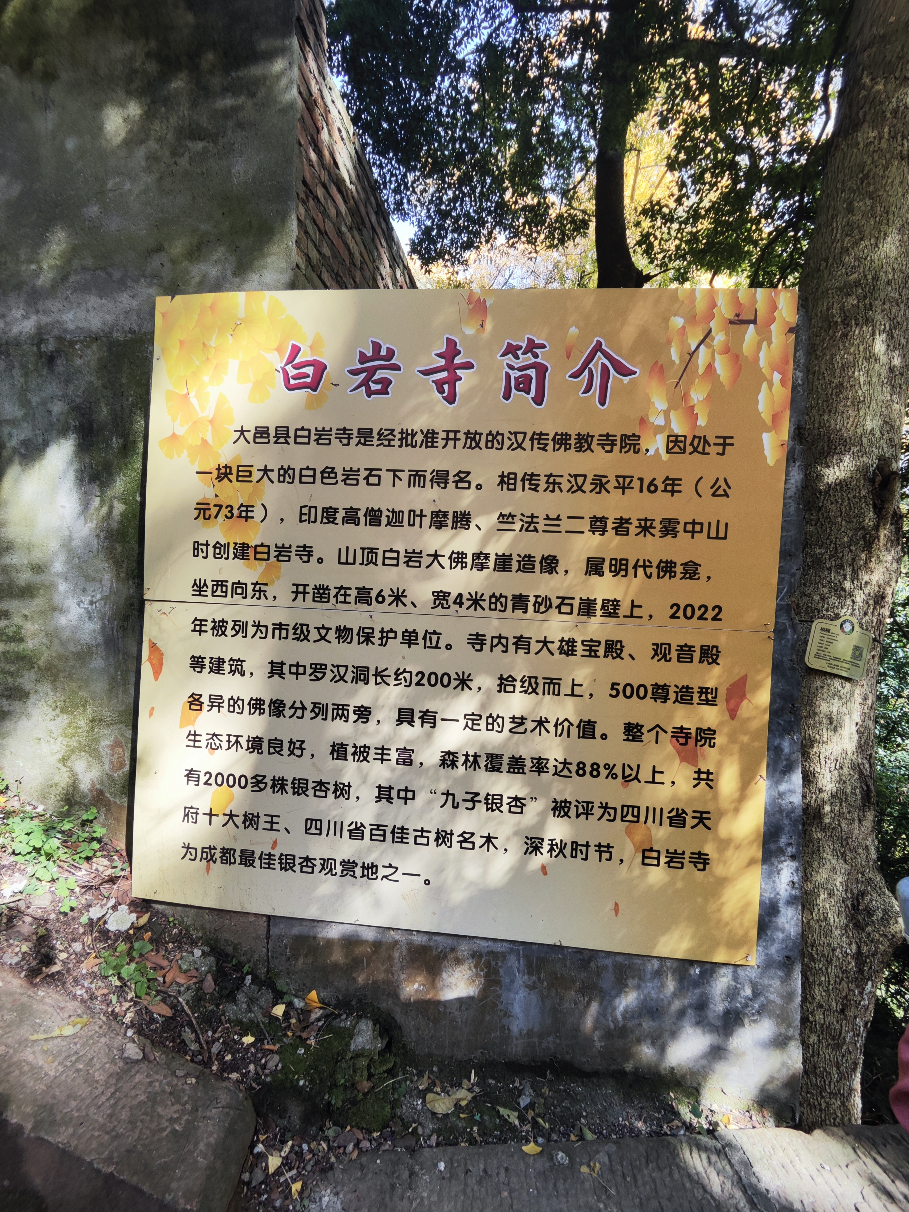 银杏叶下的白岩寺在成都大邑县的深山之中，隐藏着一座充满神秘色彩的寺庙–白岩寺。它离得远远的尘嚣，宛如一颗明珠，等待着大家去探