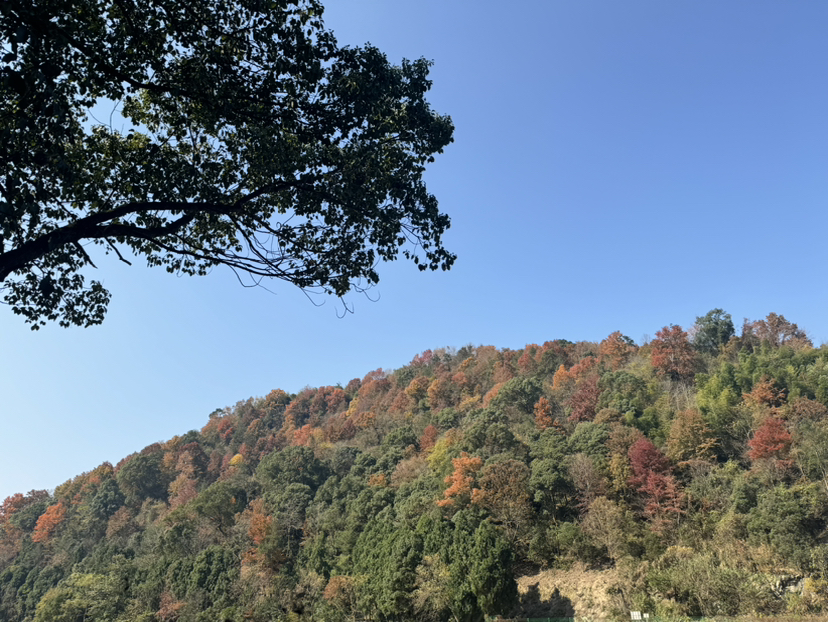 秋游嵊州更楼古道
