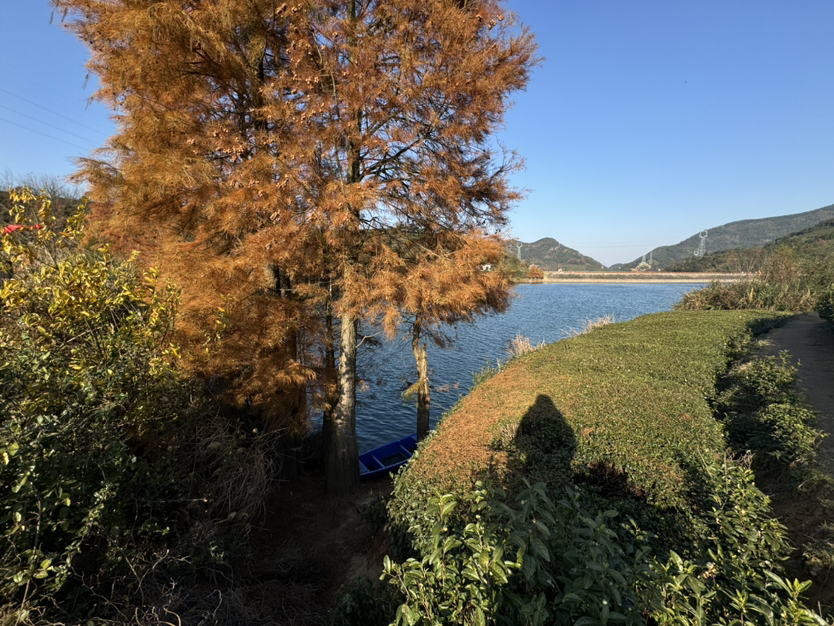秋游嵊州更楼古道
