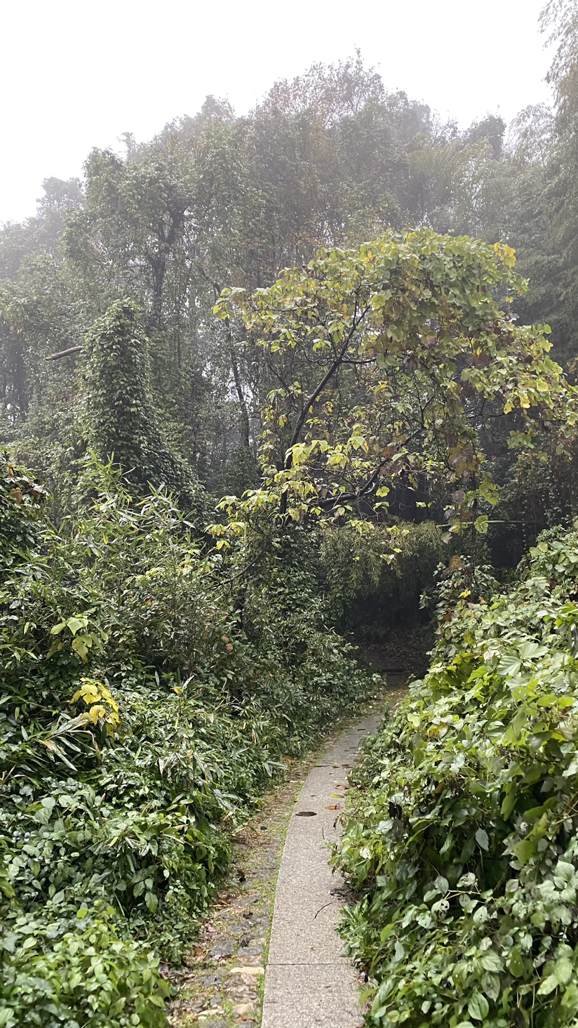 西湖群山小雨绵绵雾蒙蒙