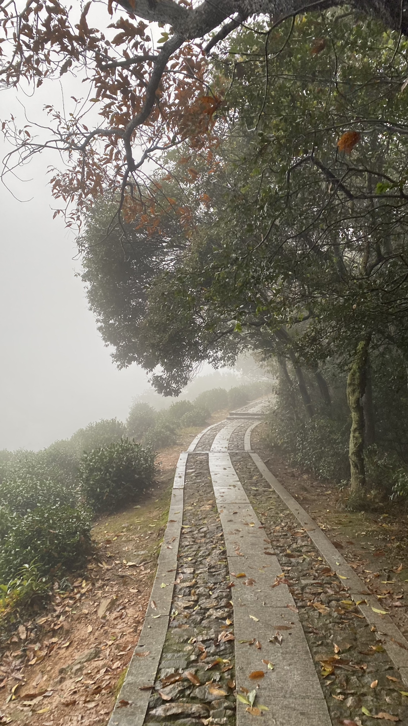 西湖群山小雨绵绵雾蒙蒙