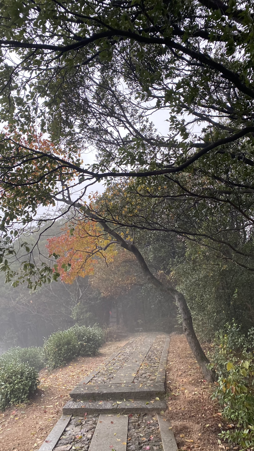 西湖群山小雨绵绵雾蒙蒙