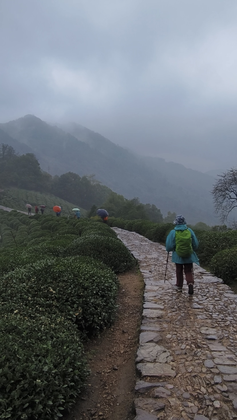 西湖群山小雨绵绵雾蒙蒙