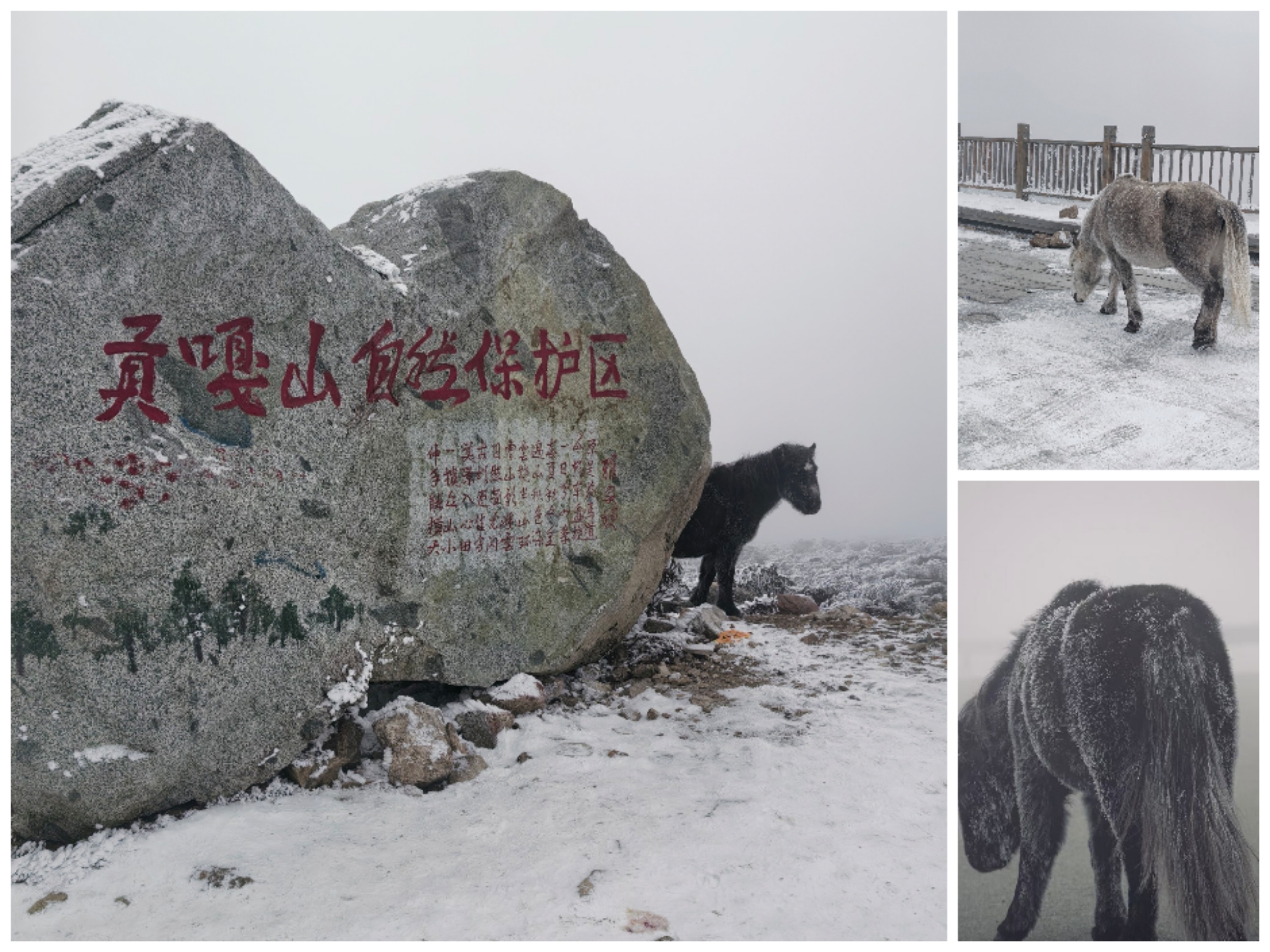野马海子雪山巍峨耸立，圣洁的银辉洒落。海子如大地之眸，澄澈湛蓝，倒映着雪山的壮观秀丽。山与海相依，共绘出世间至美的高原画卷。