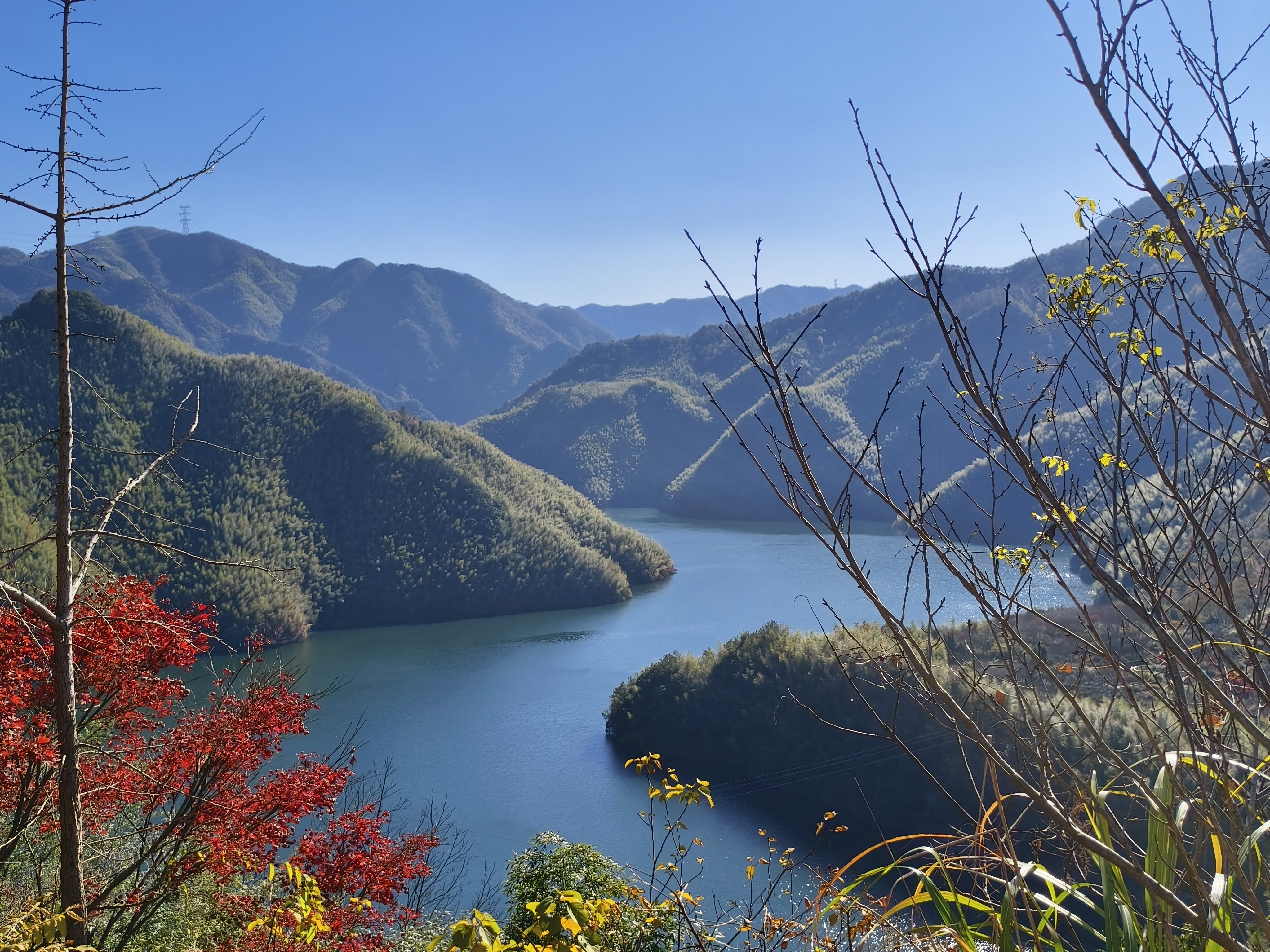 茅镬古树公园