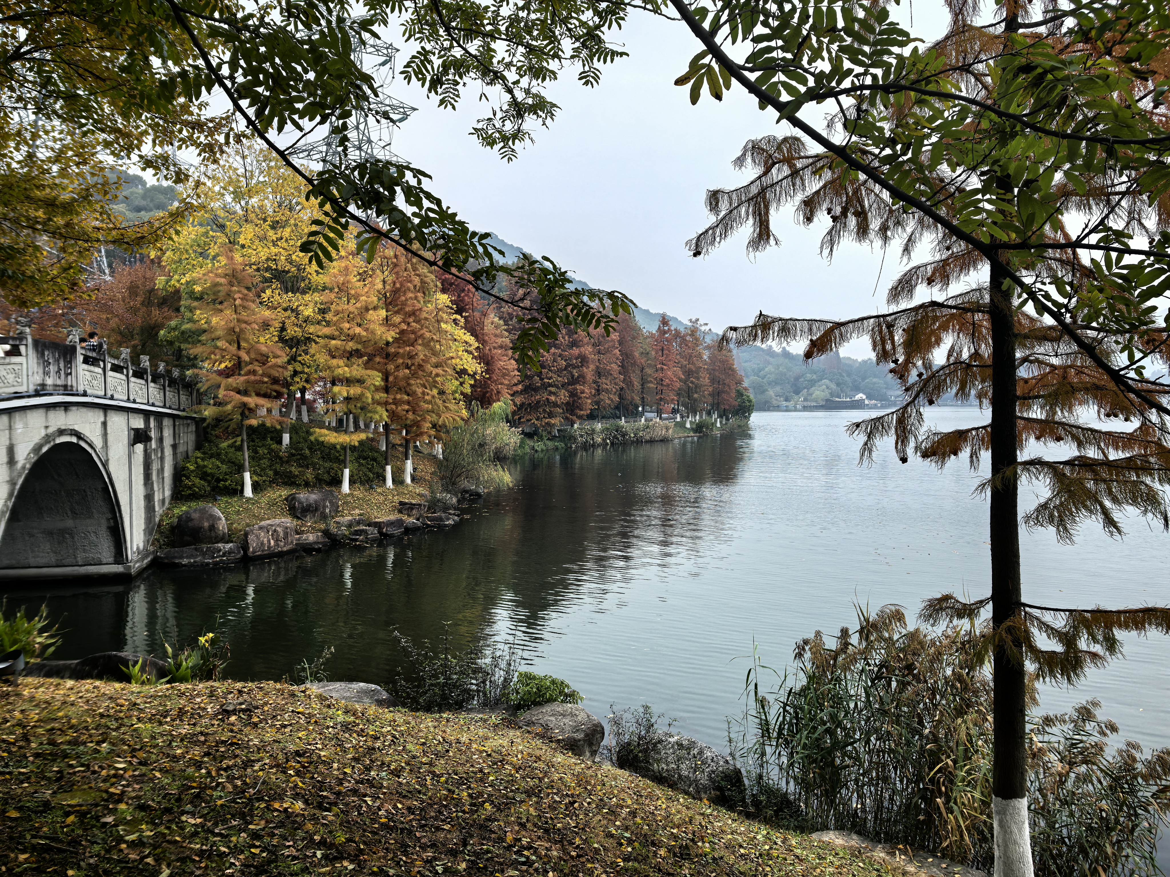 湘湖美景