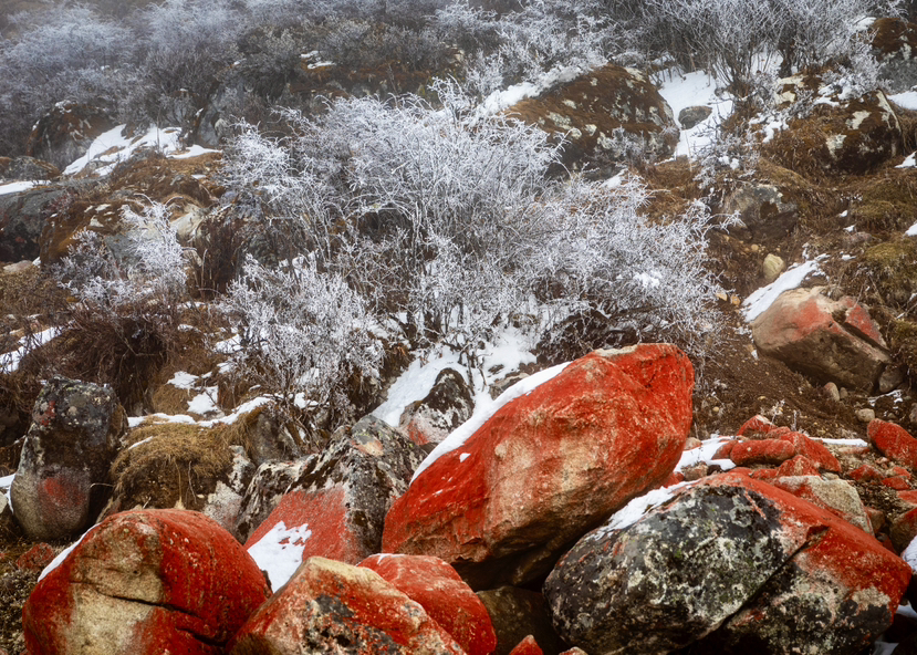 野山海子之雪山海子