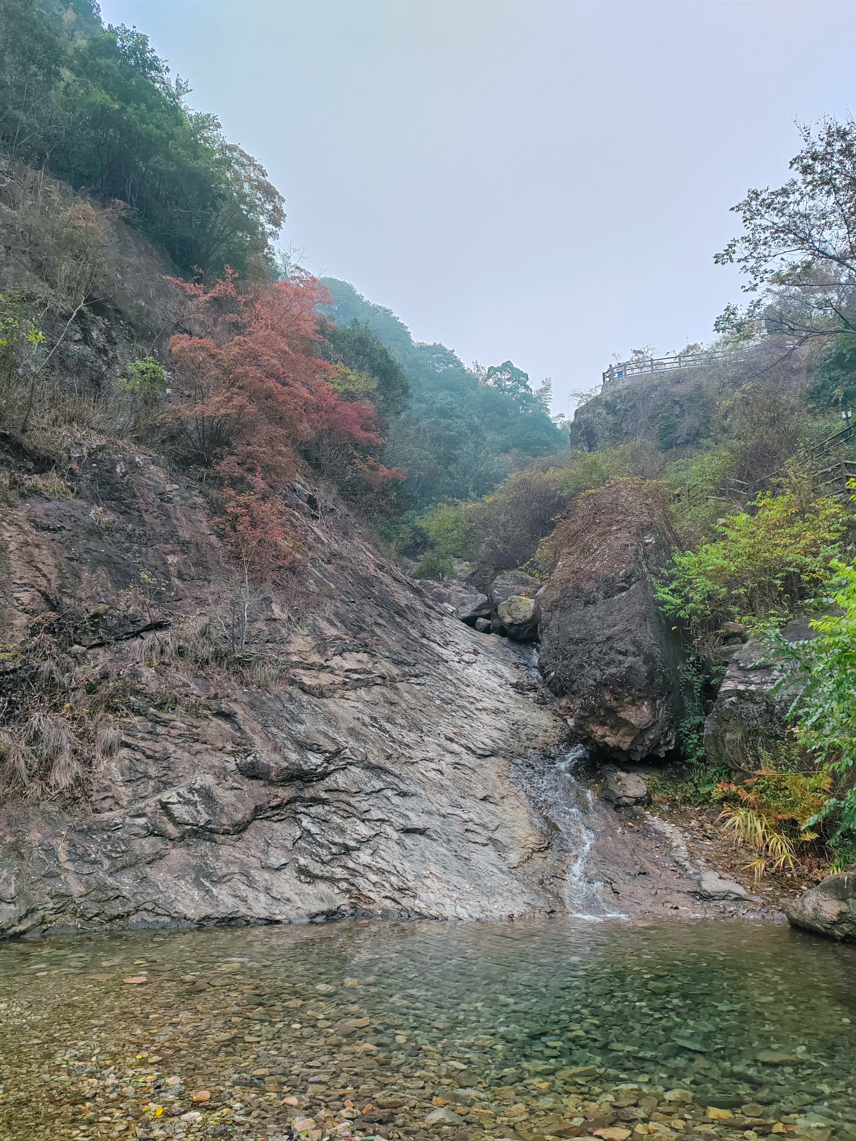 深秋季童九峰