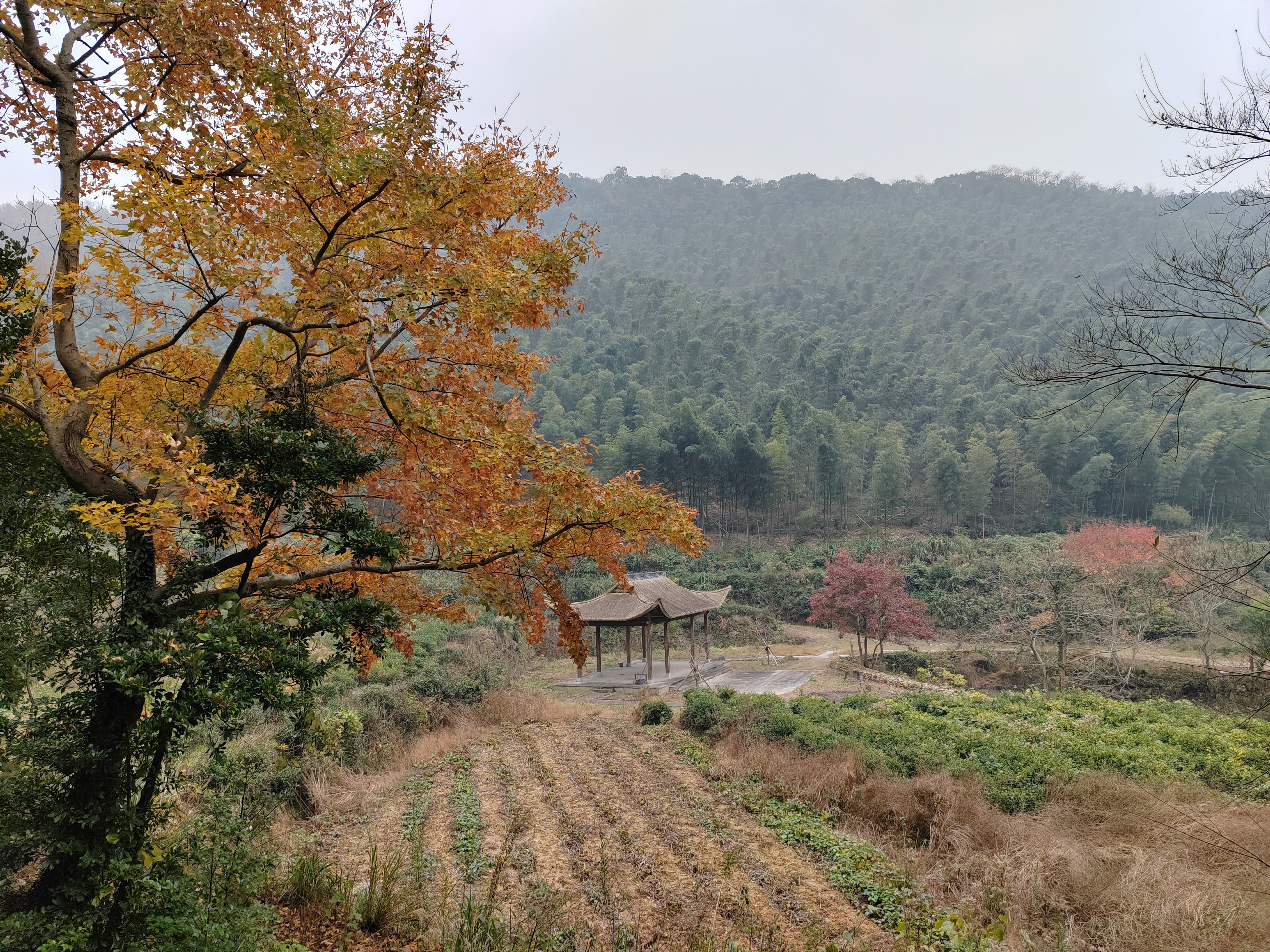 深秋季童九峰