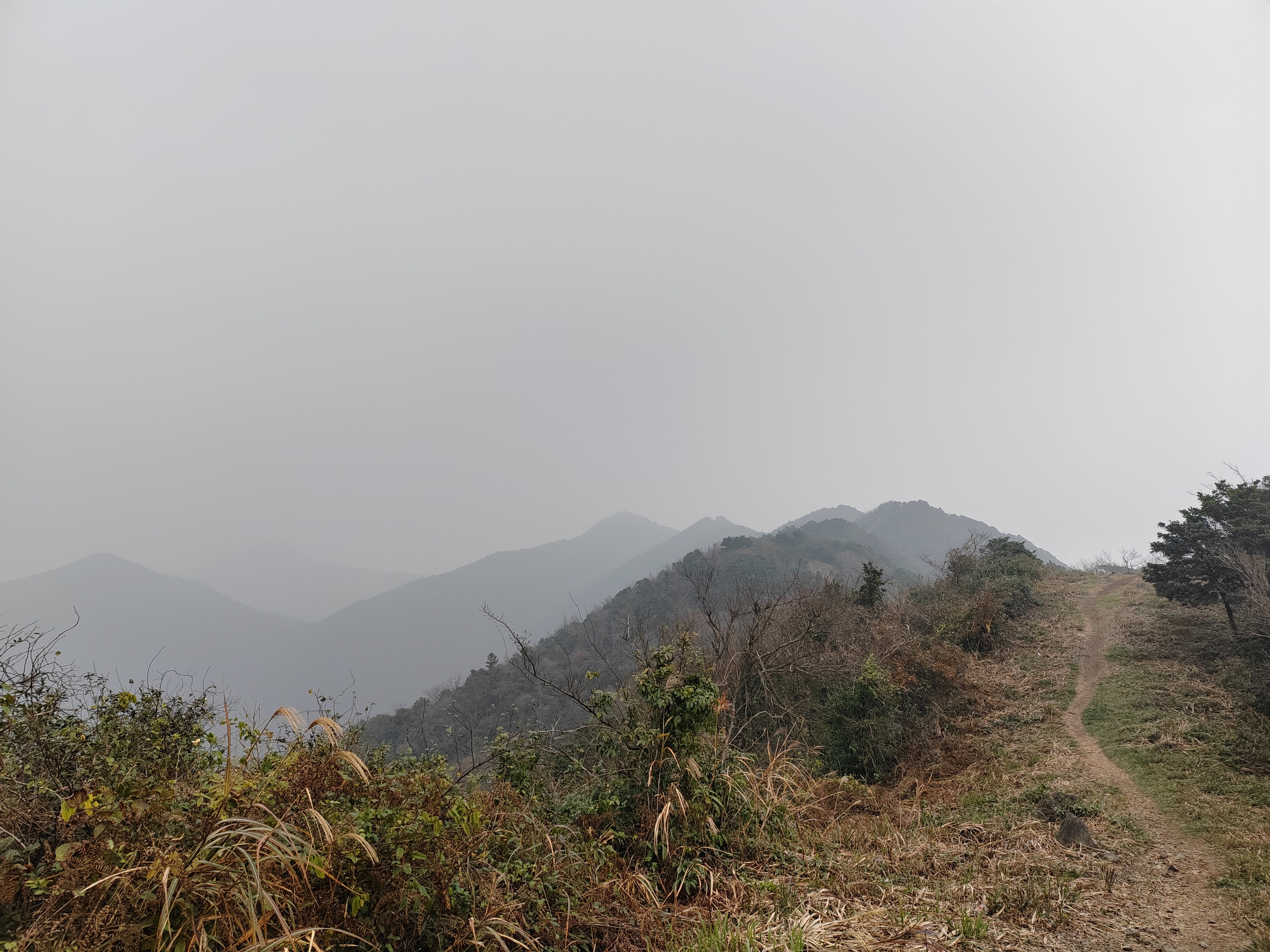 深秋季童九峰