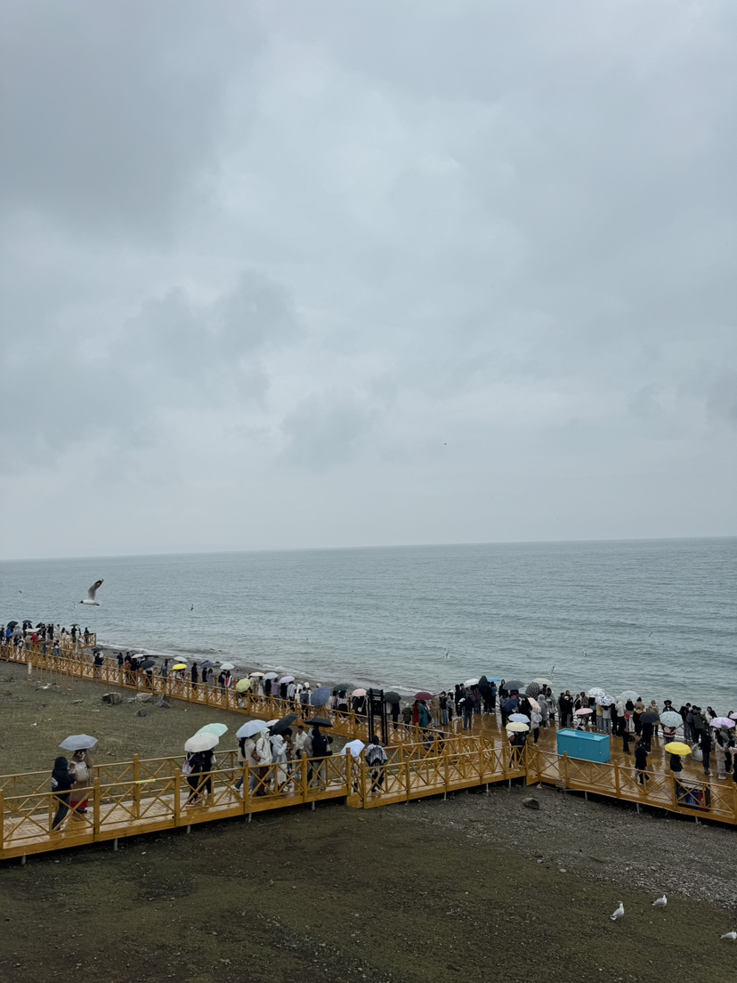 青海湖徒步(三)