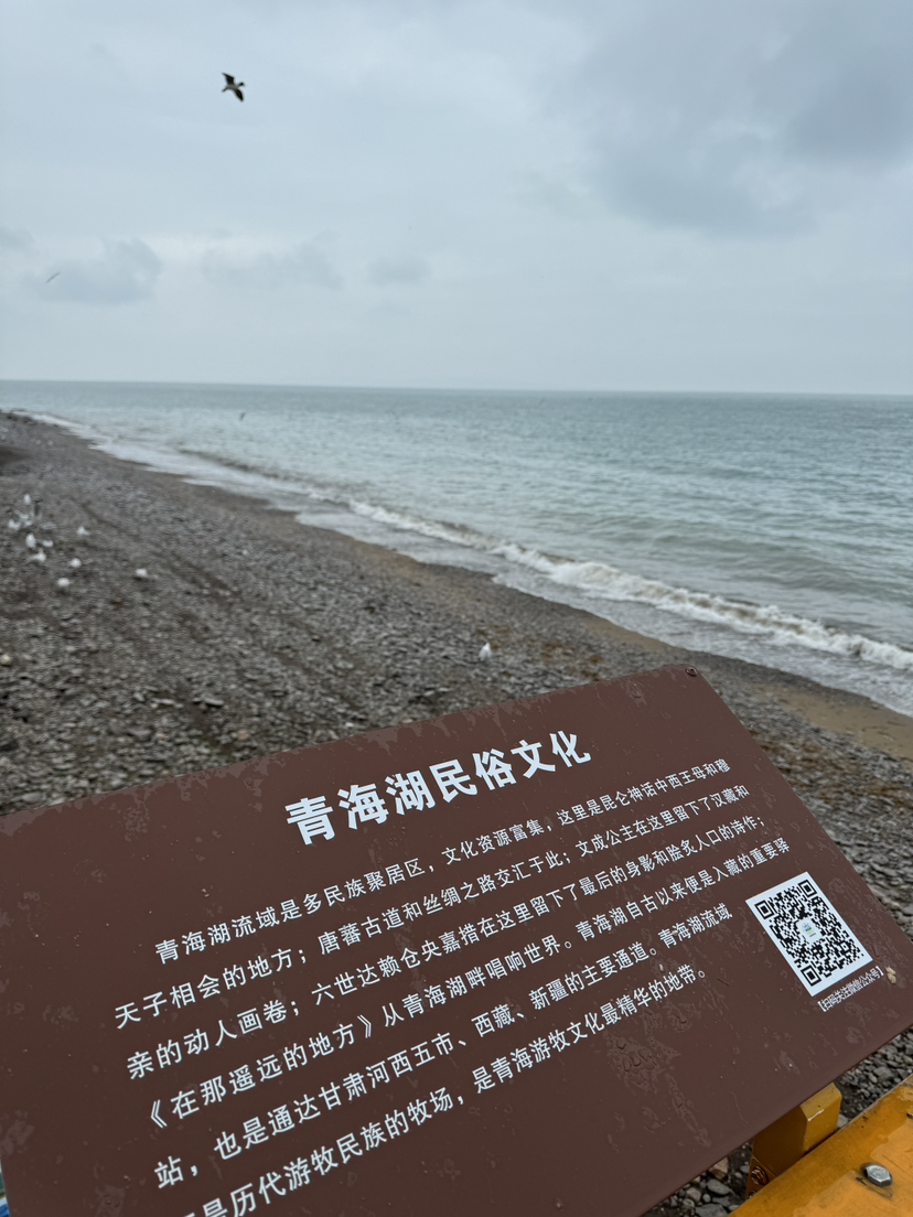 青海湖徒步(三)