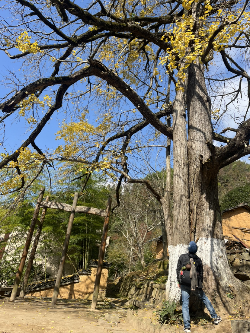 指南村