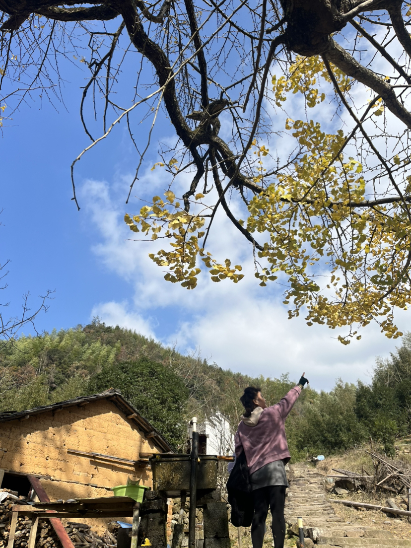 指南村