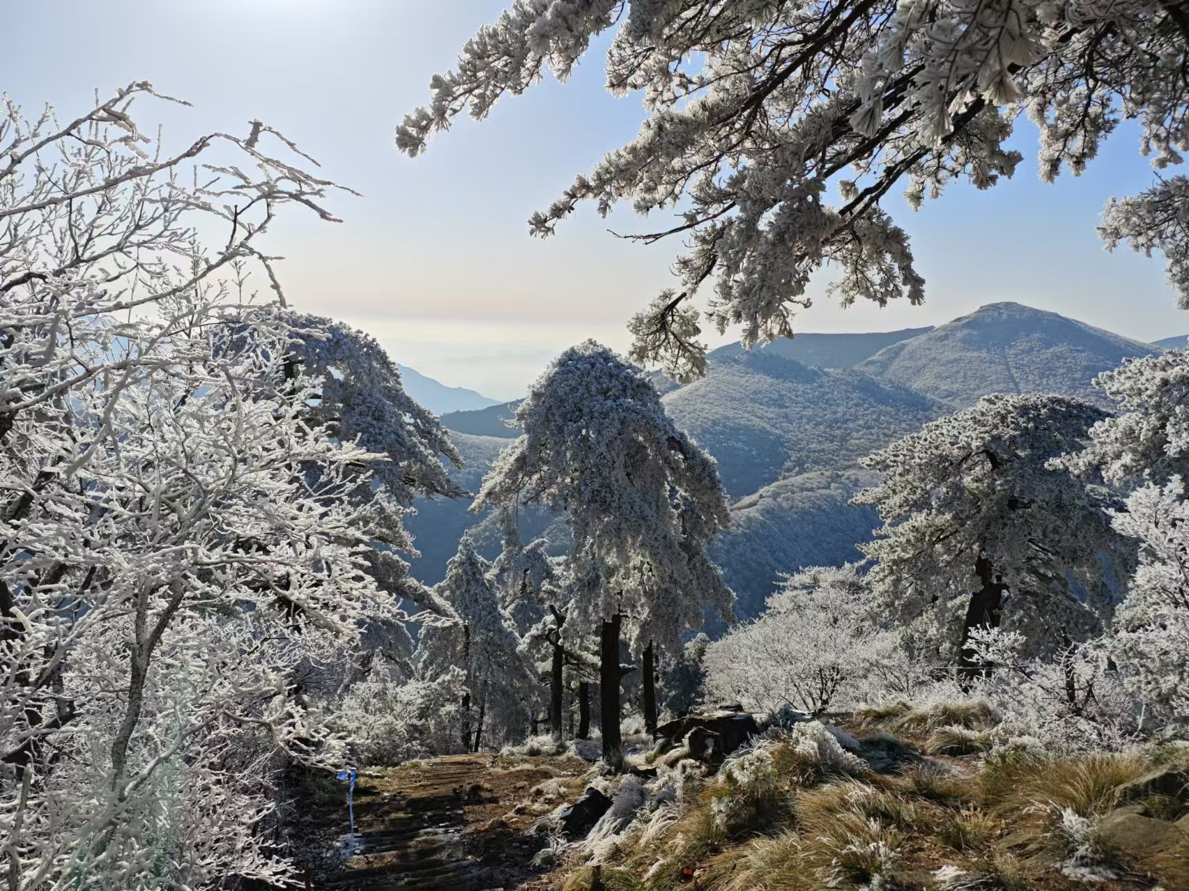 龙王山