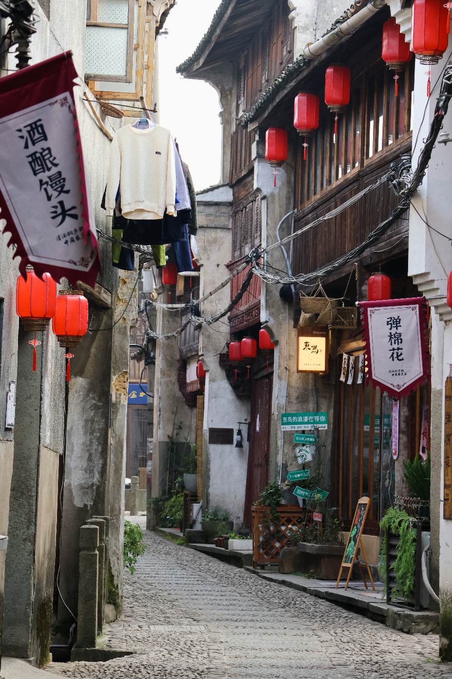标准的风景