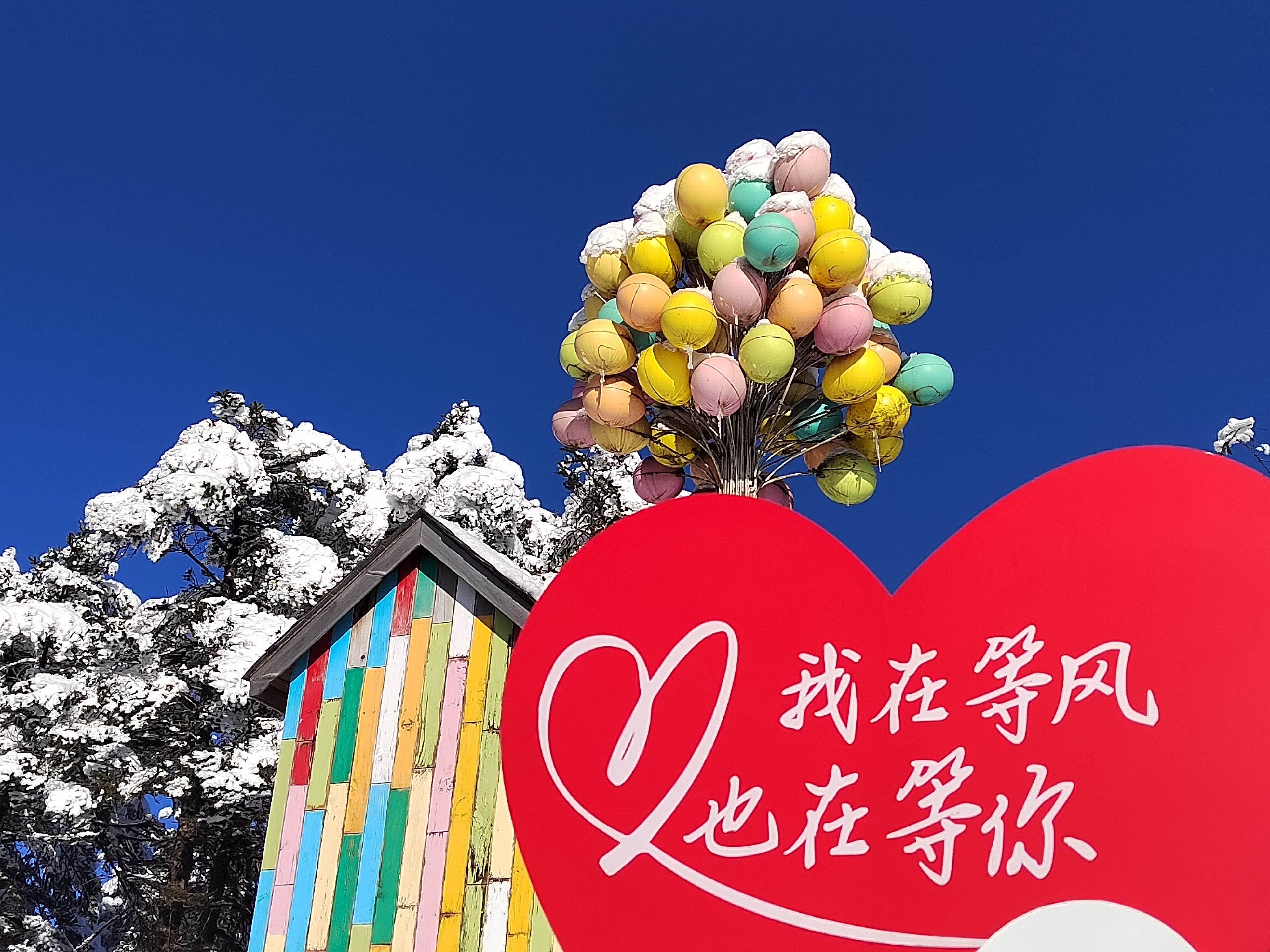 西岭雪山下雪了