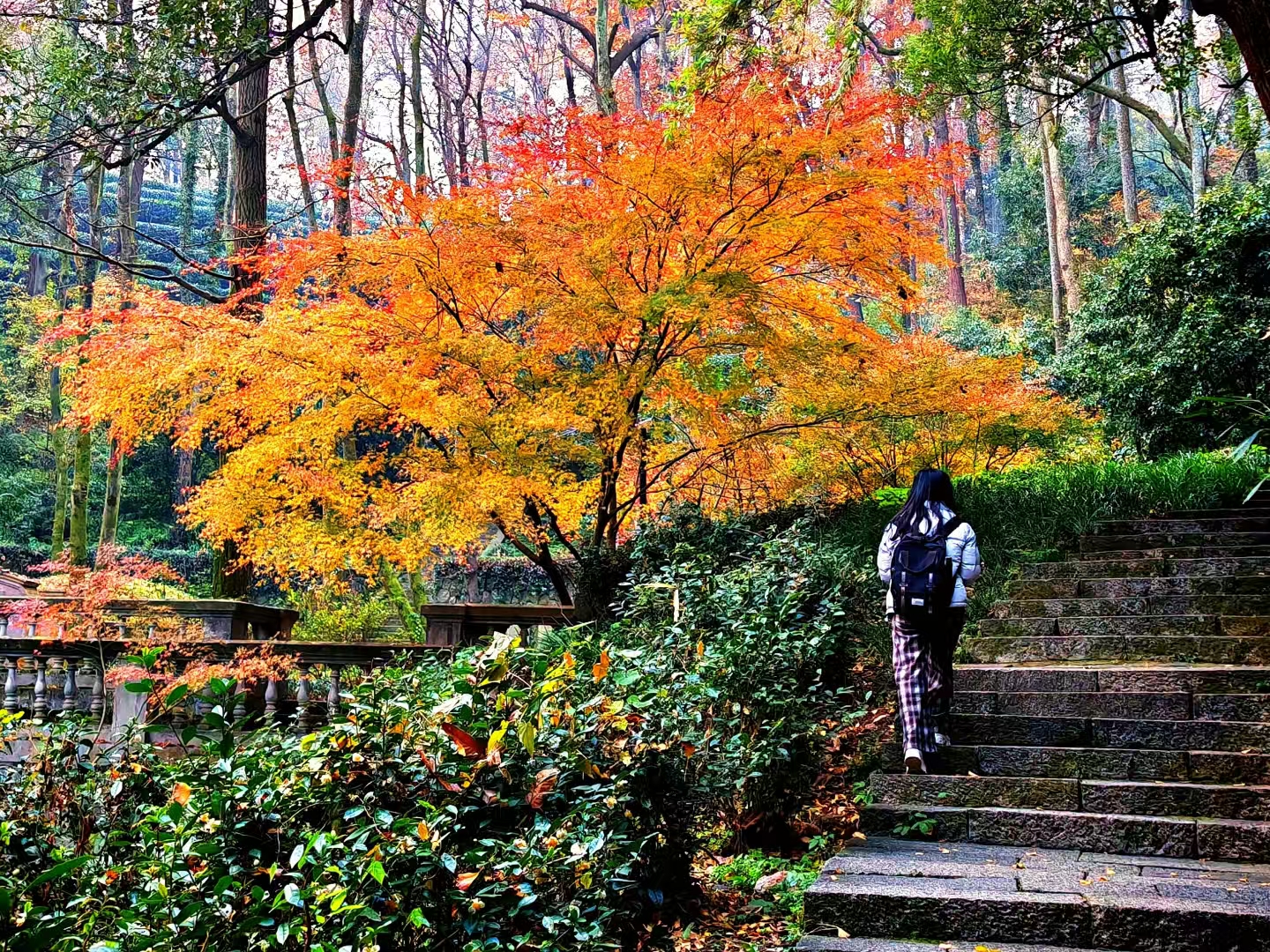 沉淀在冬季里的秋色~