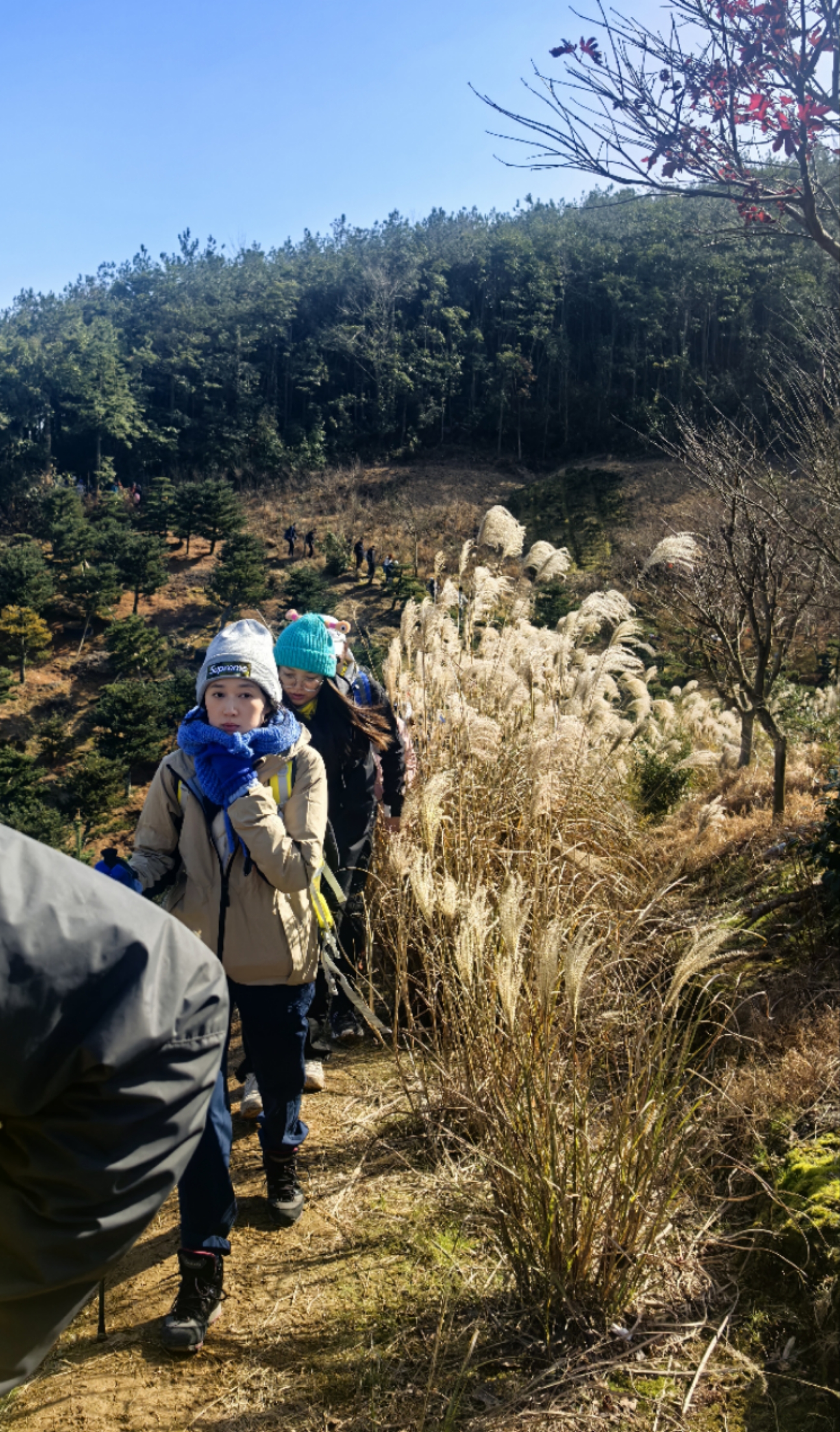 12月最后一波东西岙依旧非常美