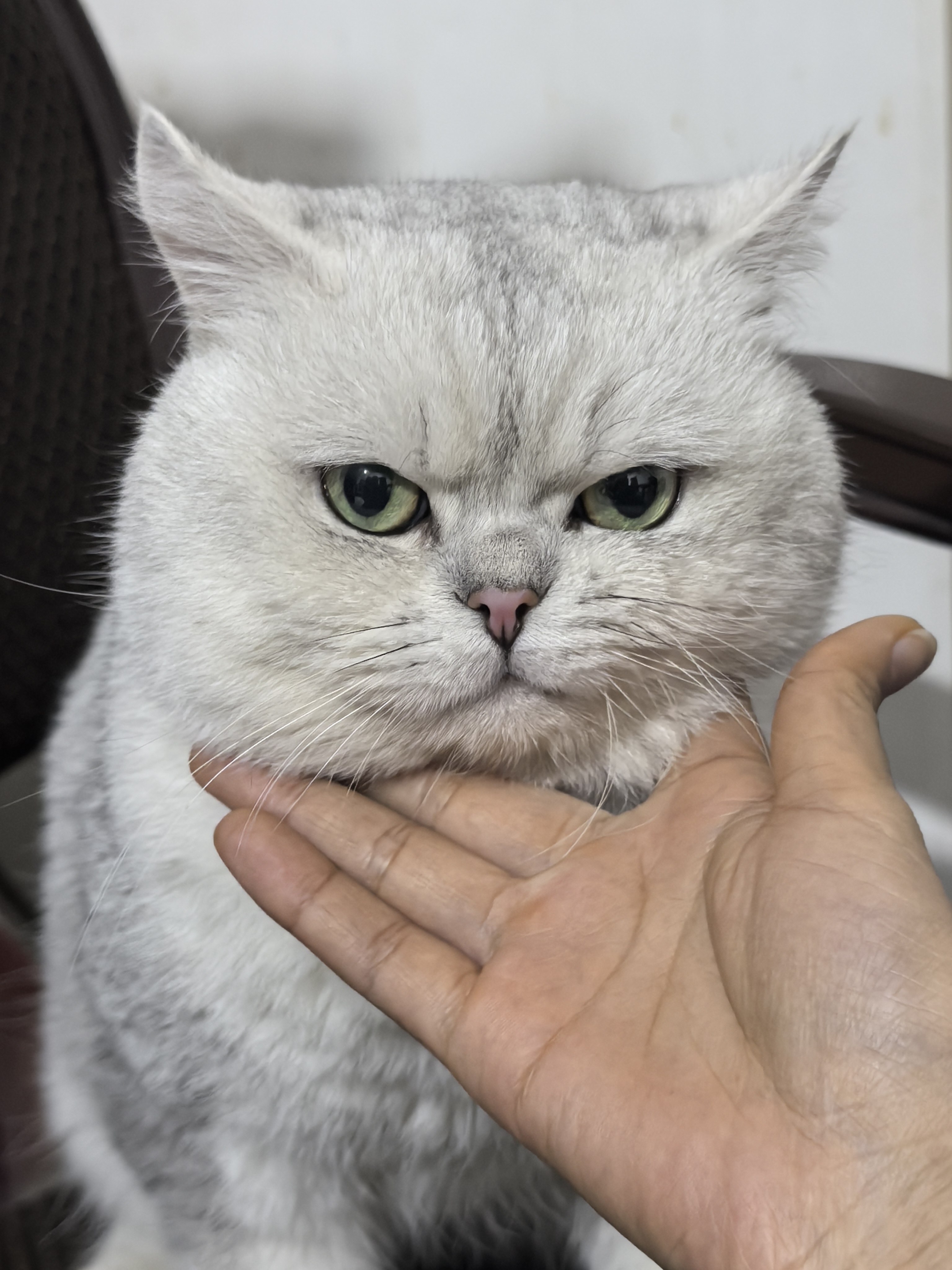 记录