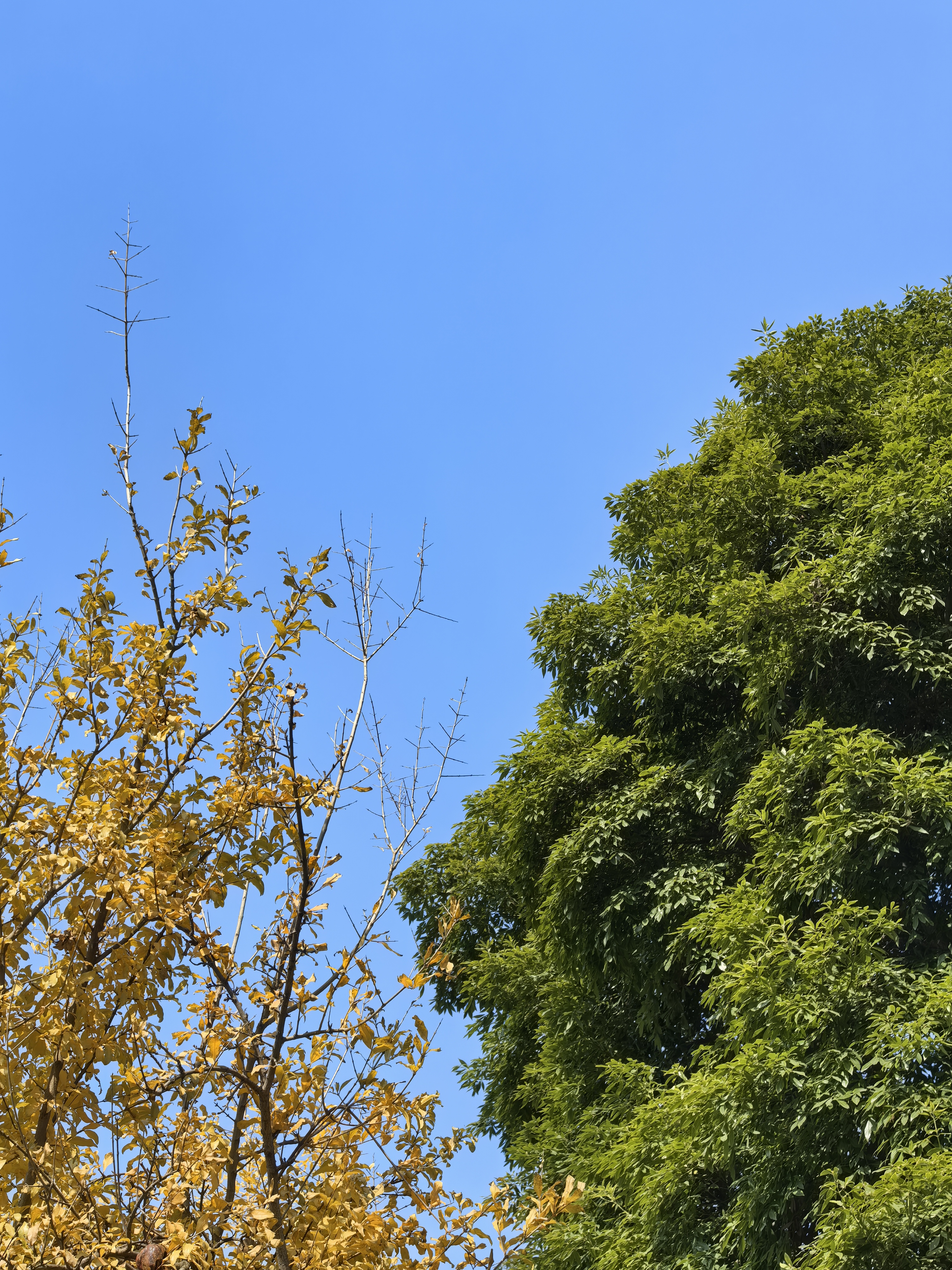 伴随时间慢慢推移