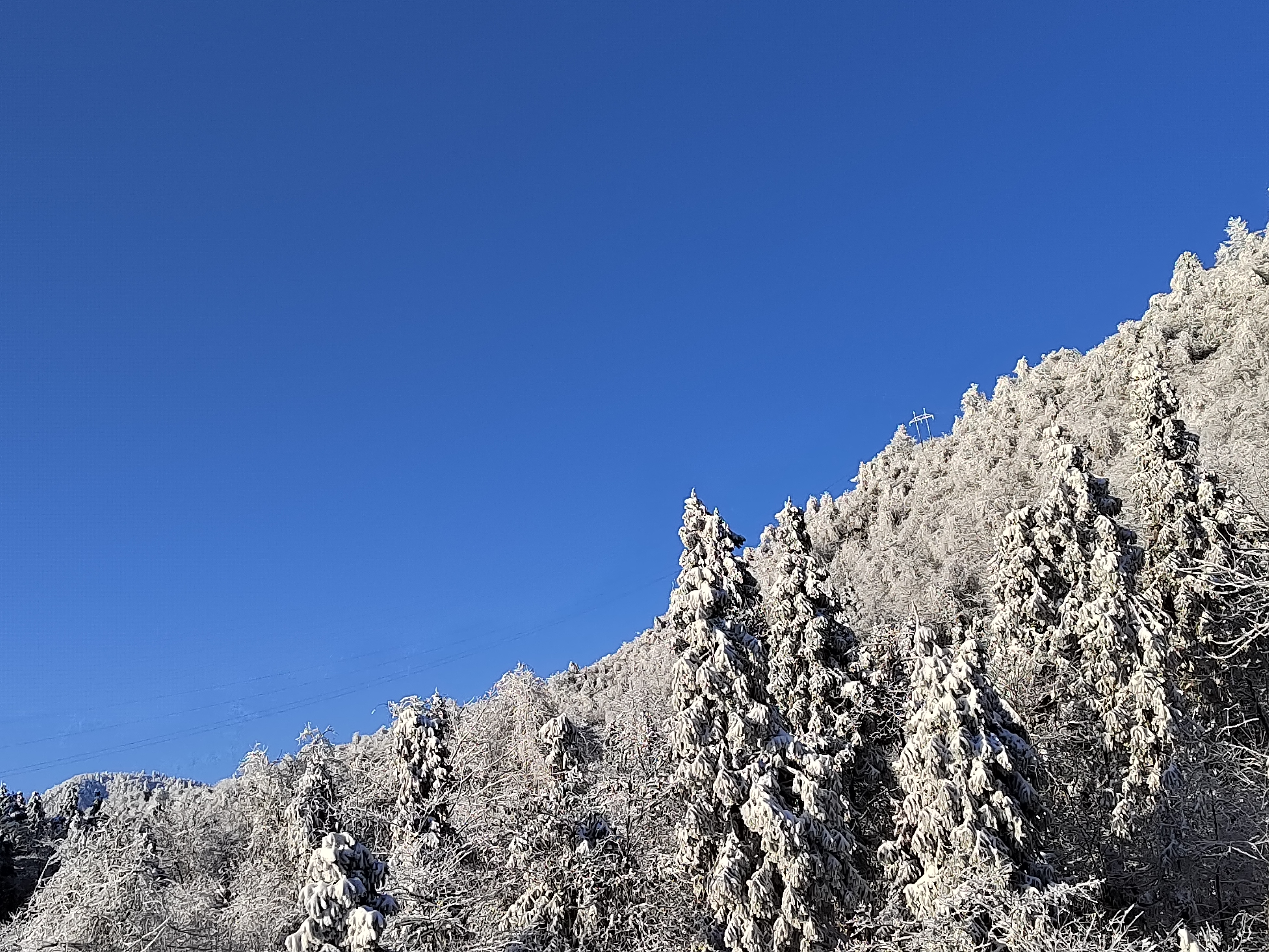 西岭雪山下雪了