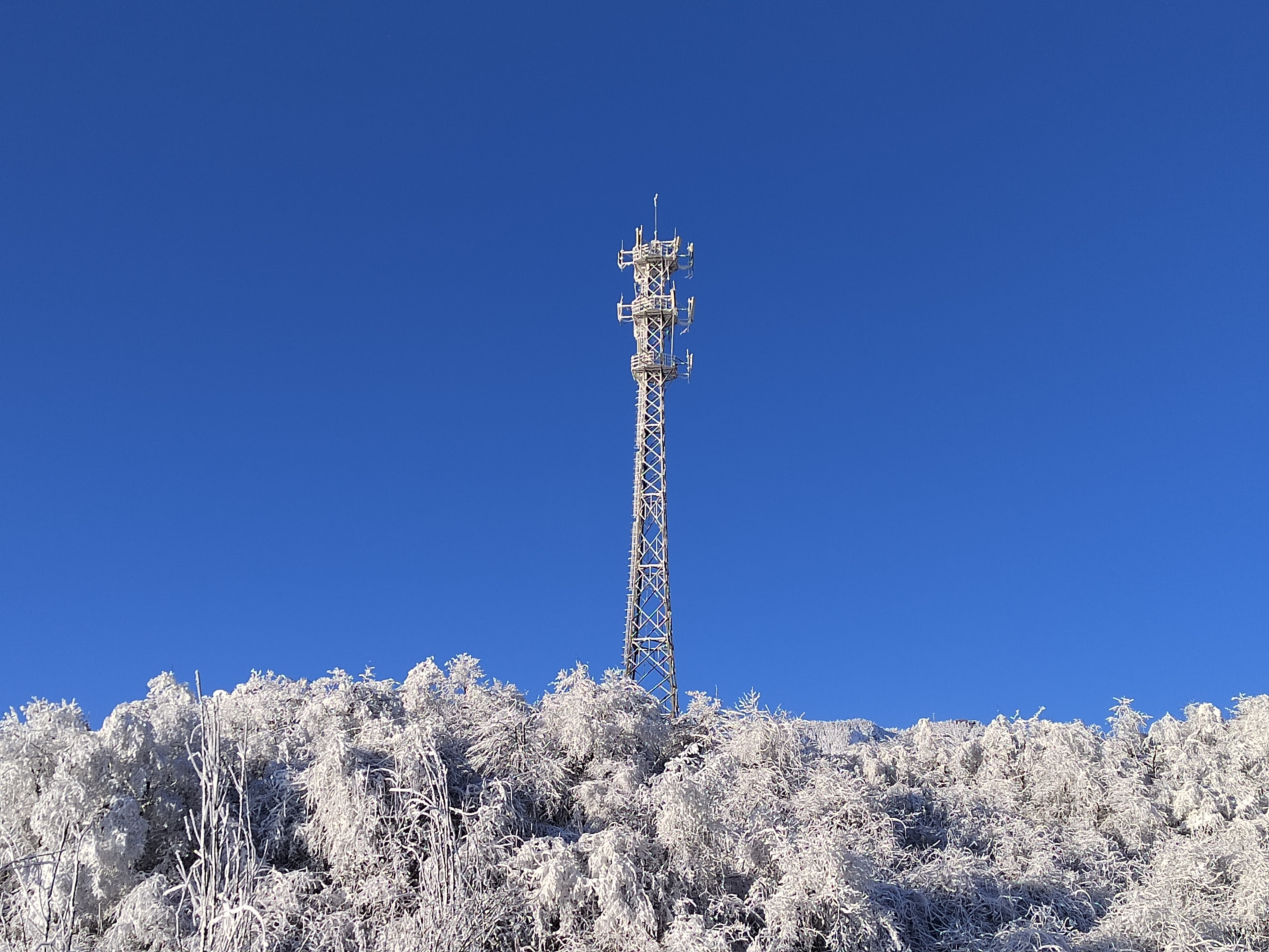 西岭雪山下雪了