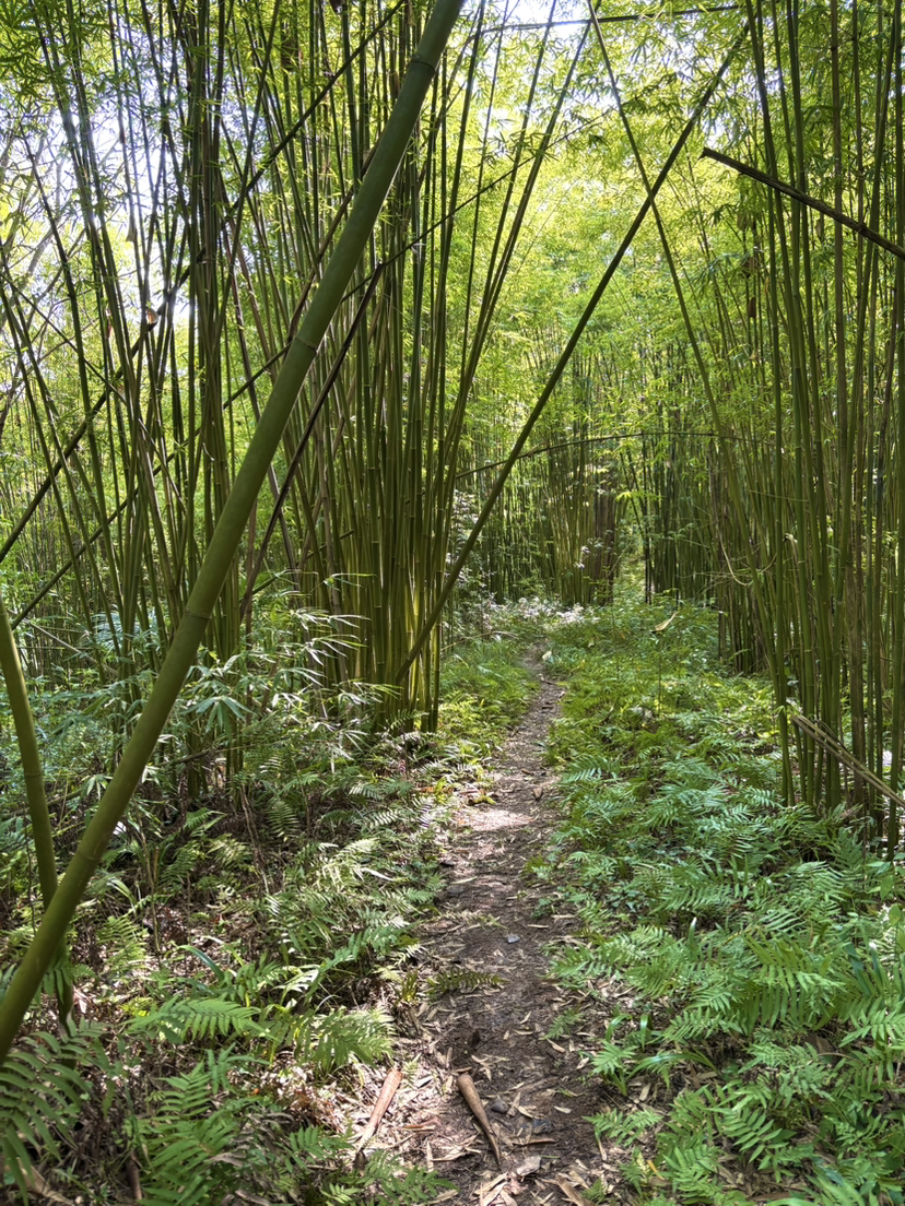 纸坊沟徒步