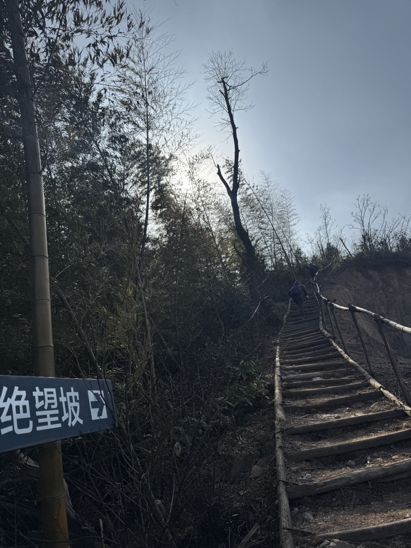 急剧之云石大环